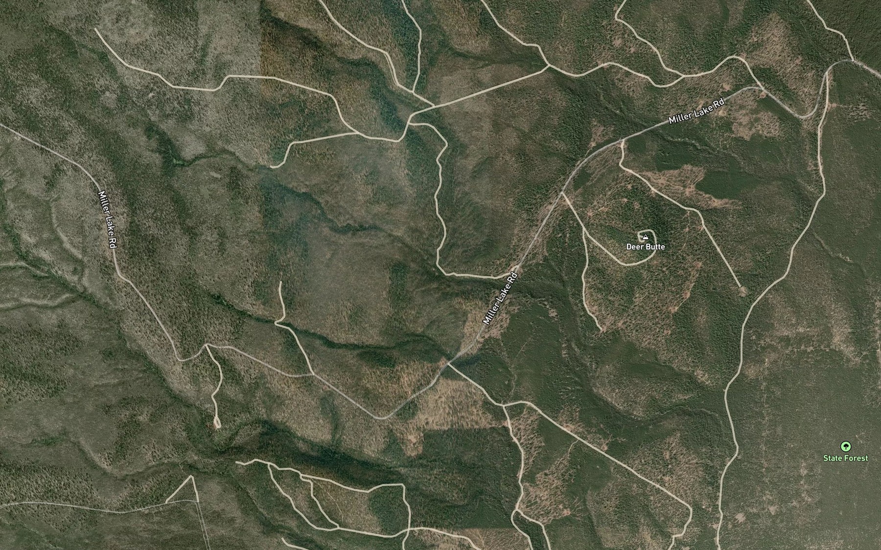 Satellite map of the Lower Swiss Spring