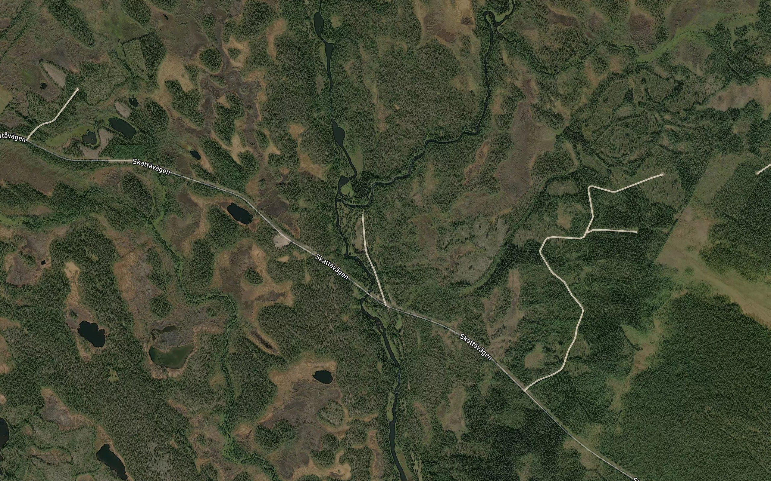 Gallakbacken