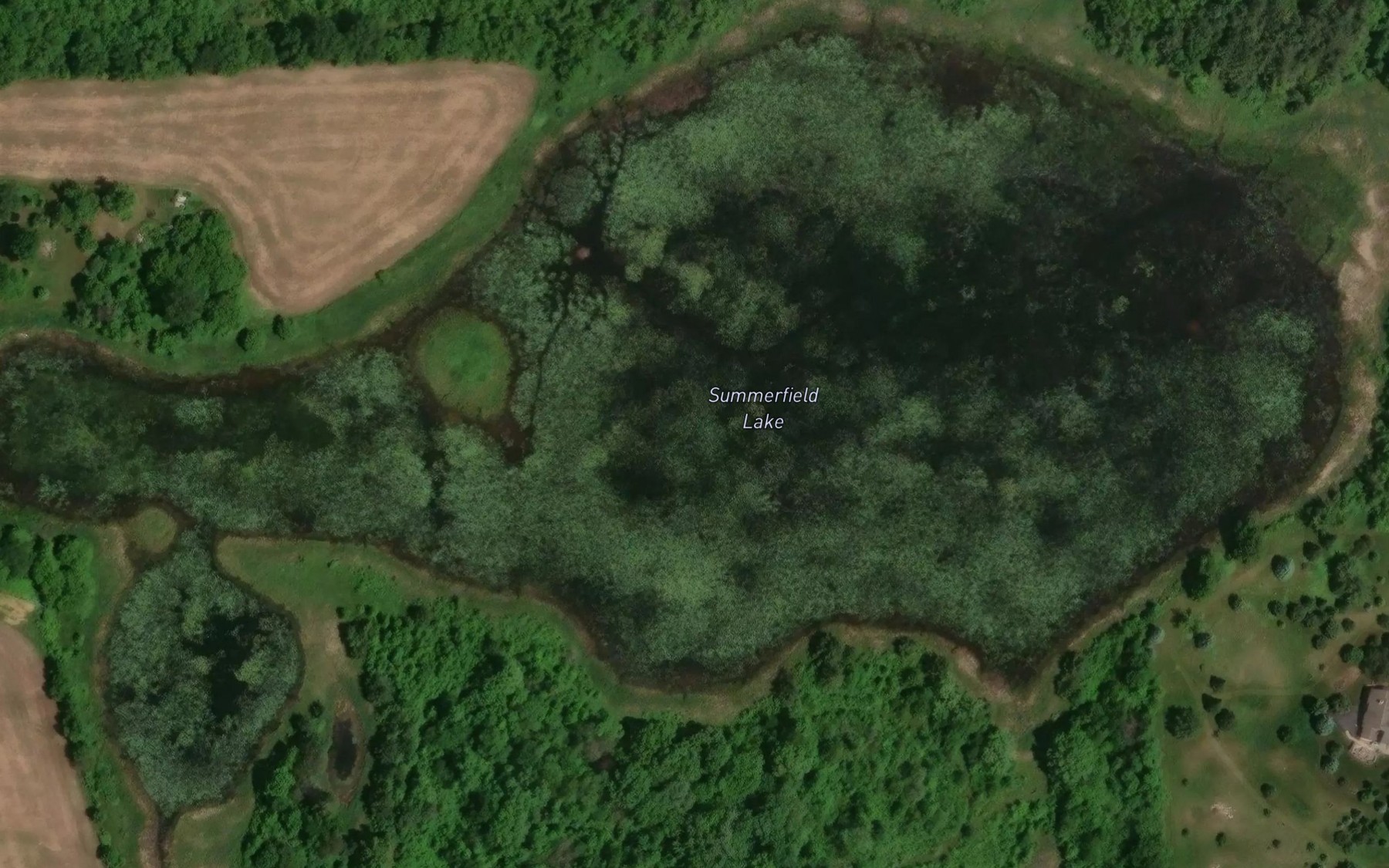 Satellite map of the Summerfield Lake
