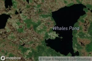Whales Pond