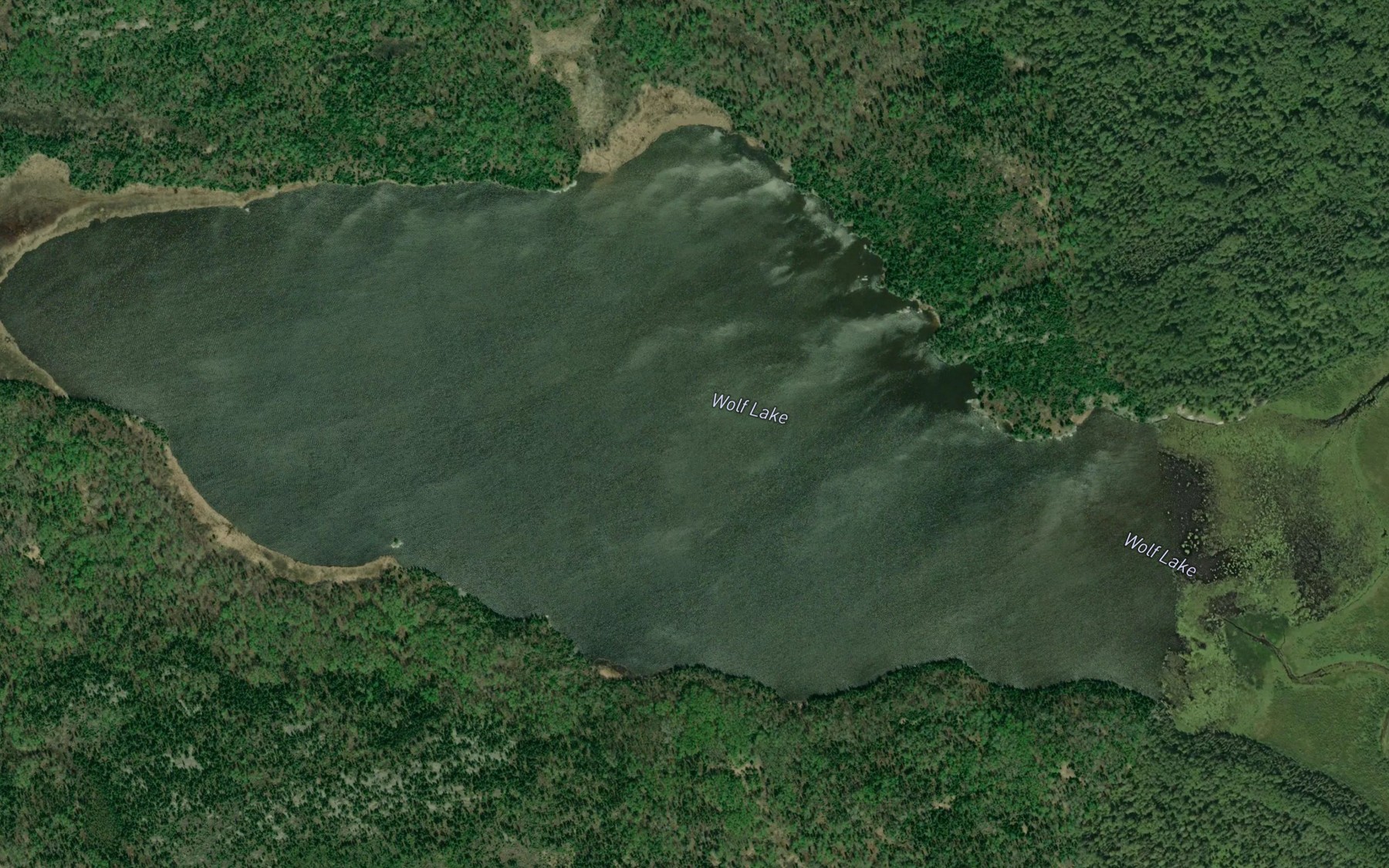 Satellite map of the Wolf Lake