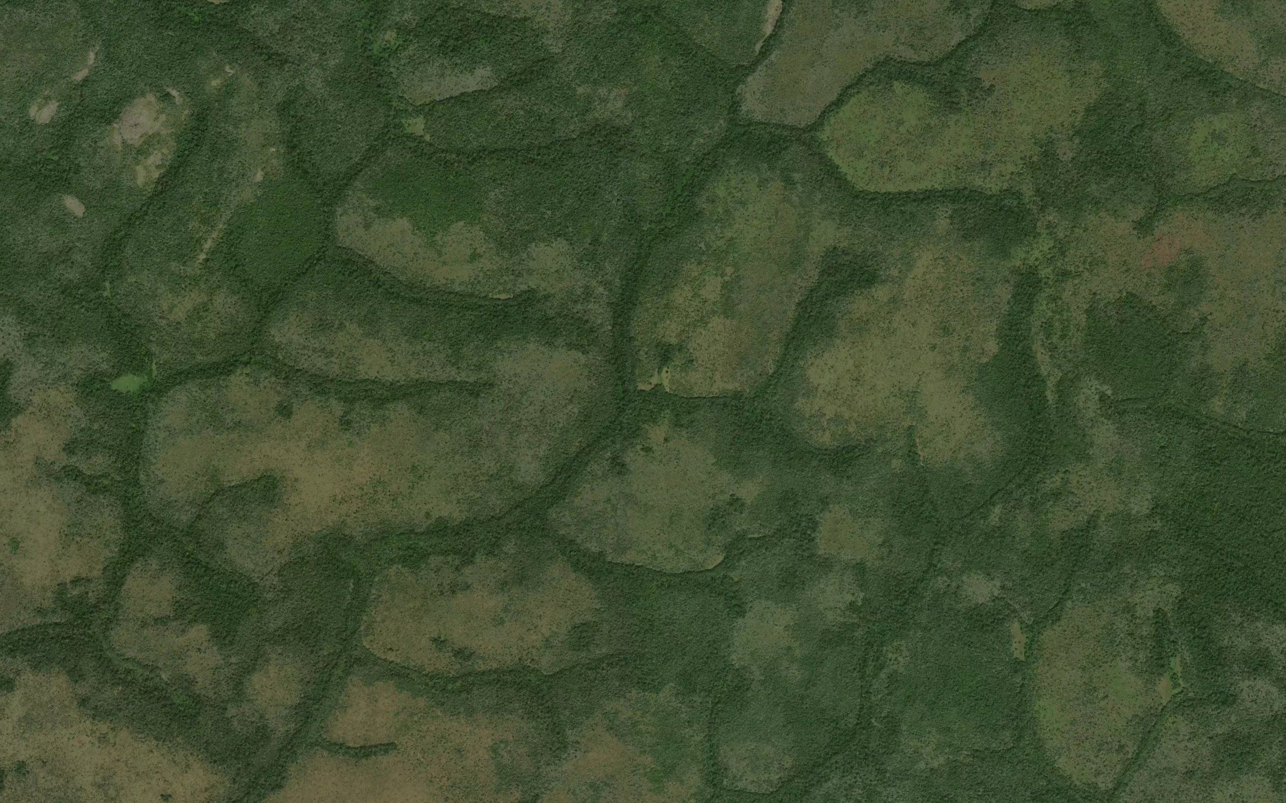 Nagiango