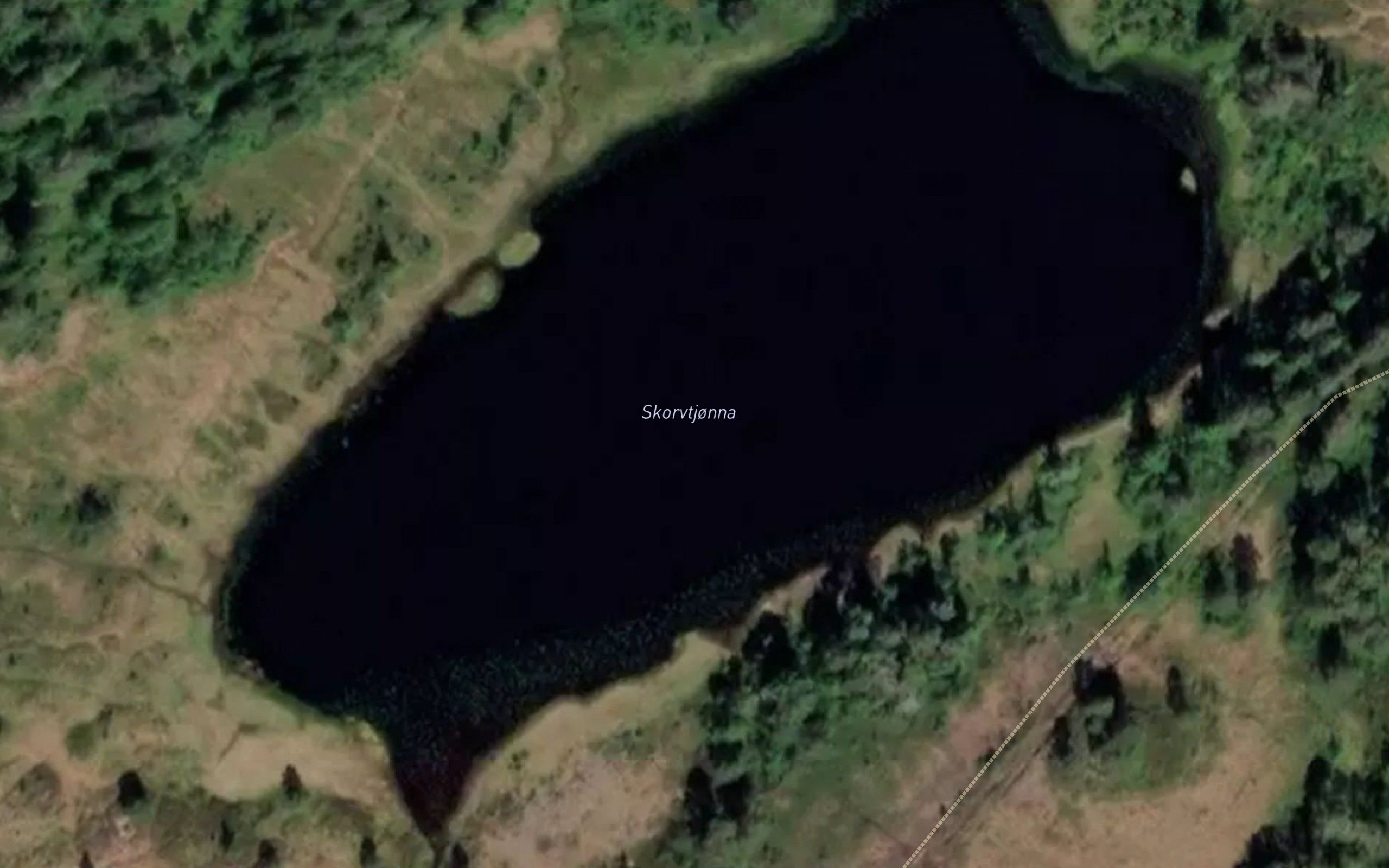 Skarratjorna