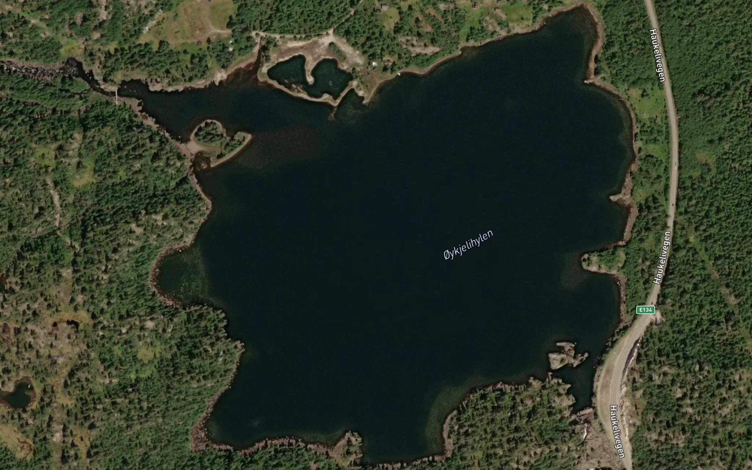 Eikelihylen