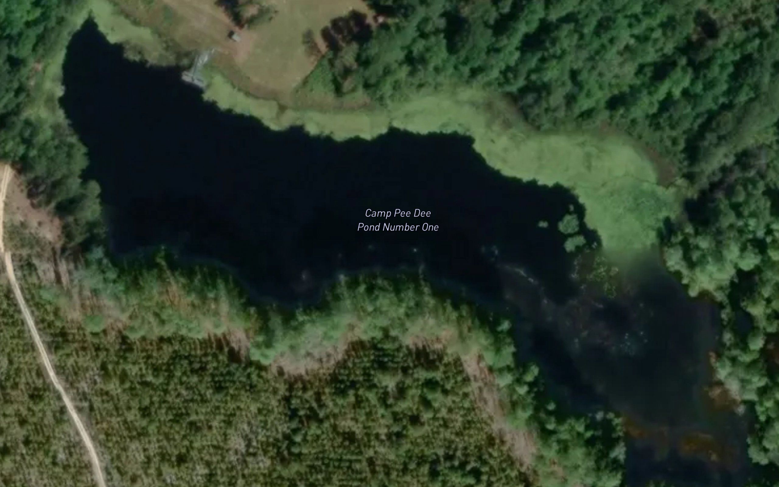 Camp Pee Dee Pond Number One