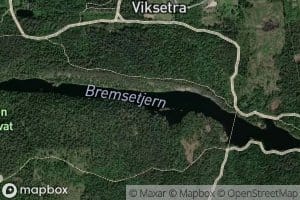 Bremsetjern