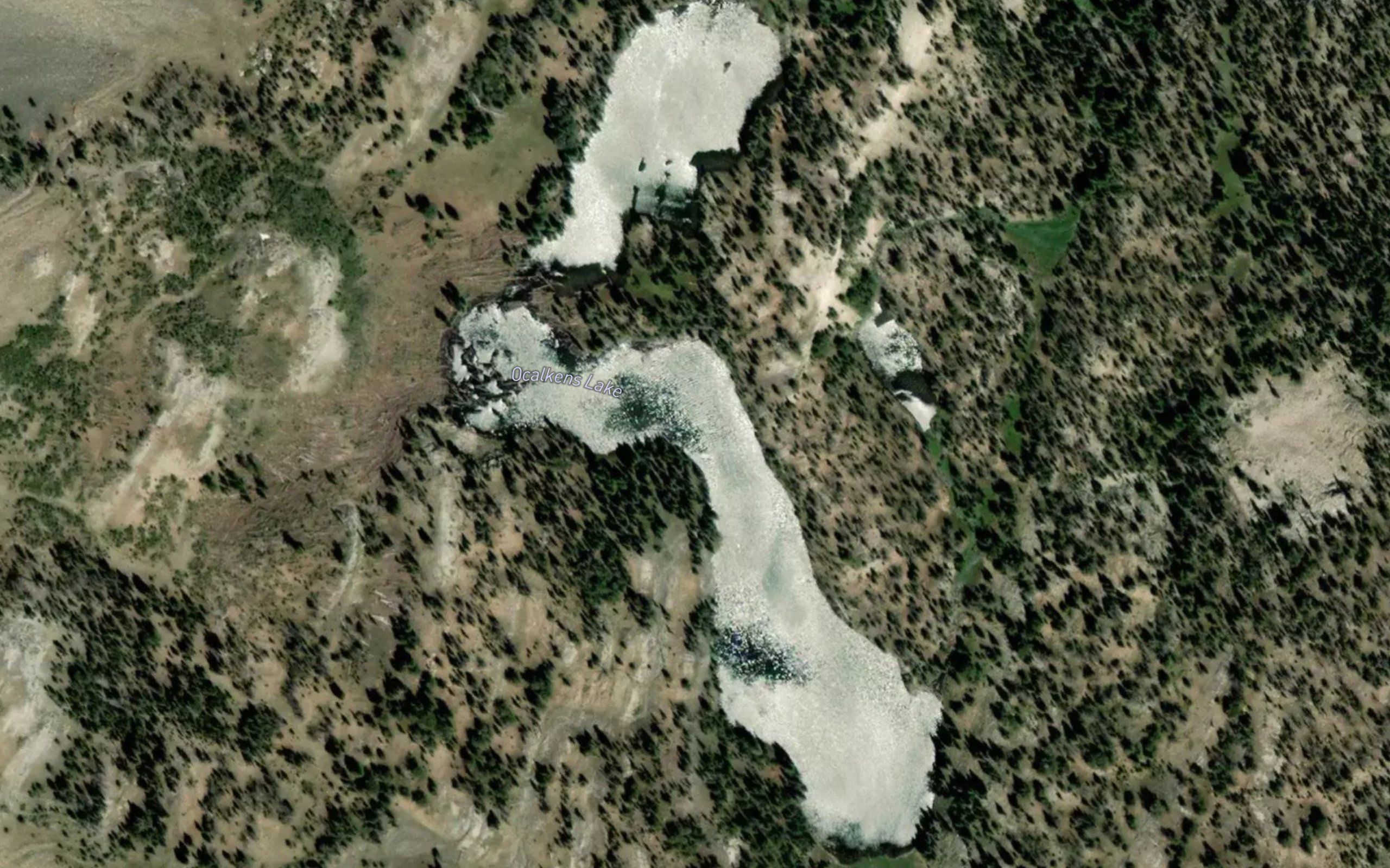 Calkins Lake