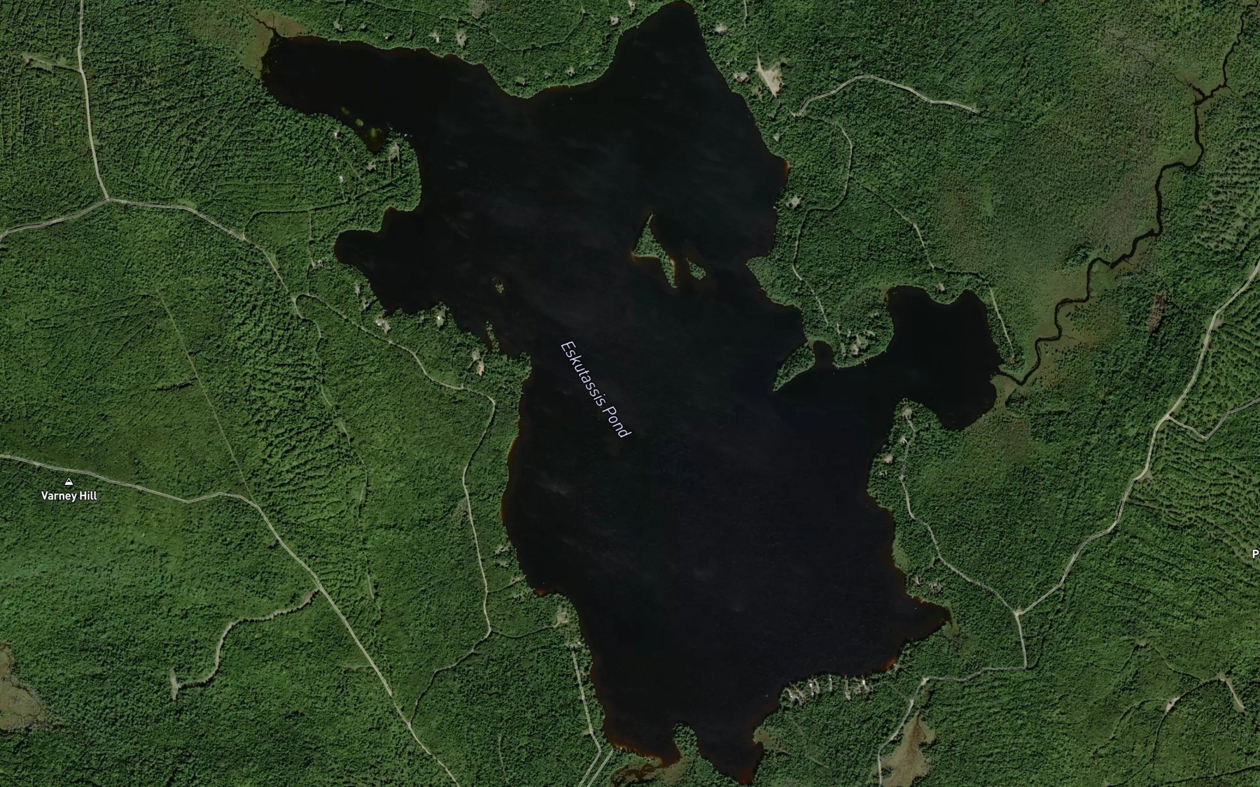Satellite map of the Eskutassis Pond