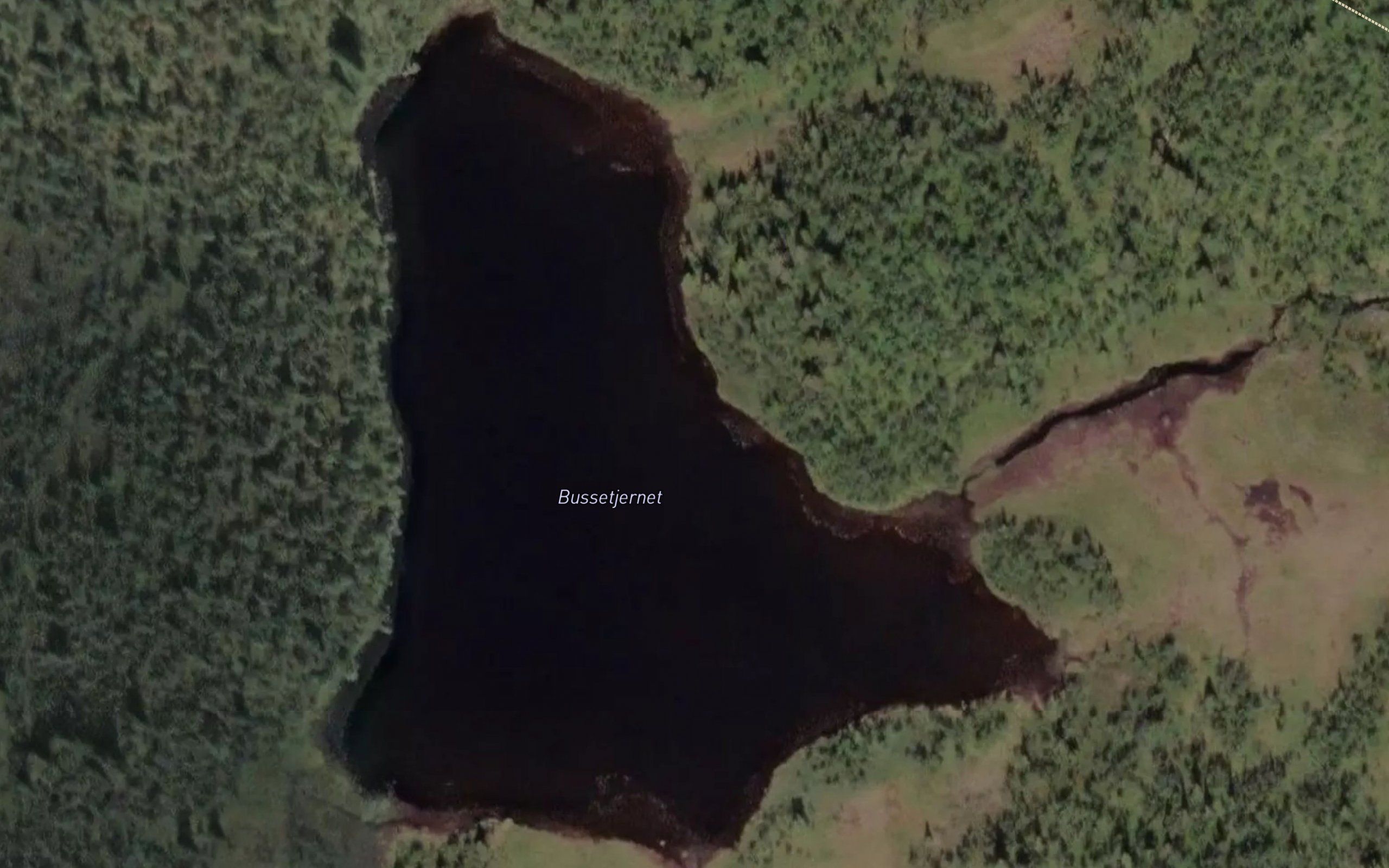 Bussetjernet