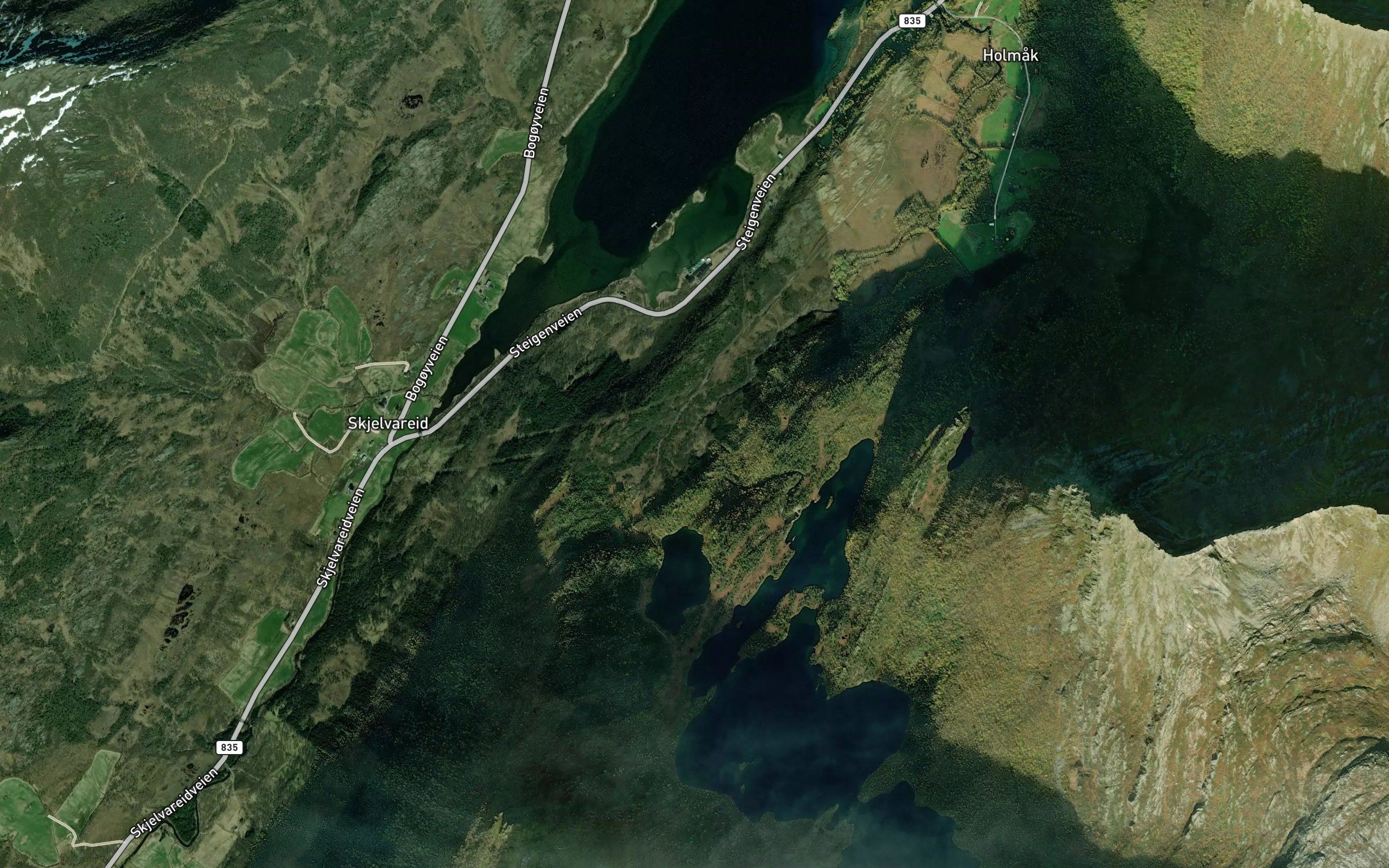 Holmvagelva