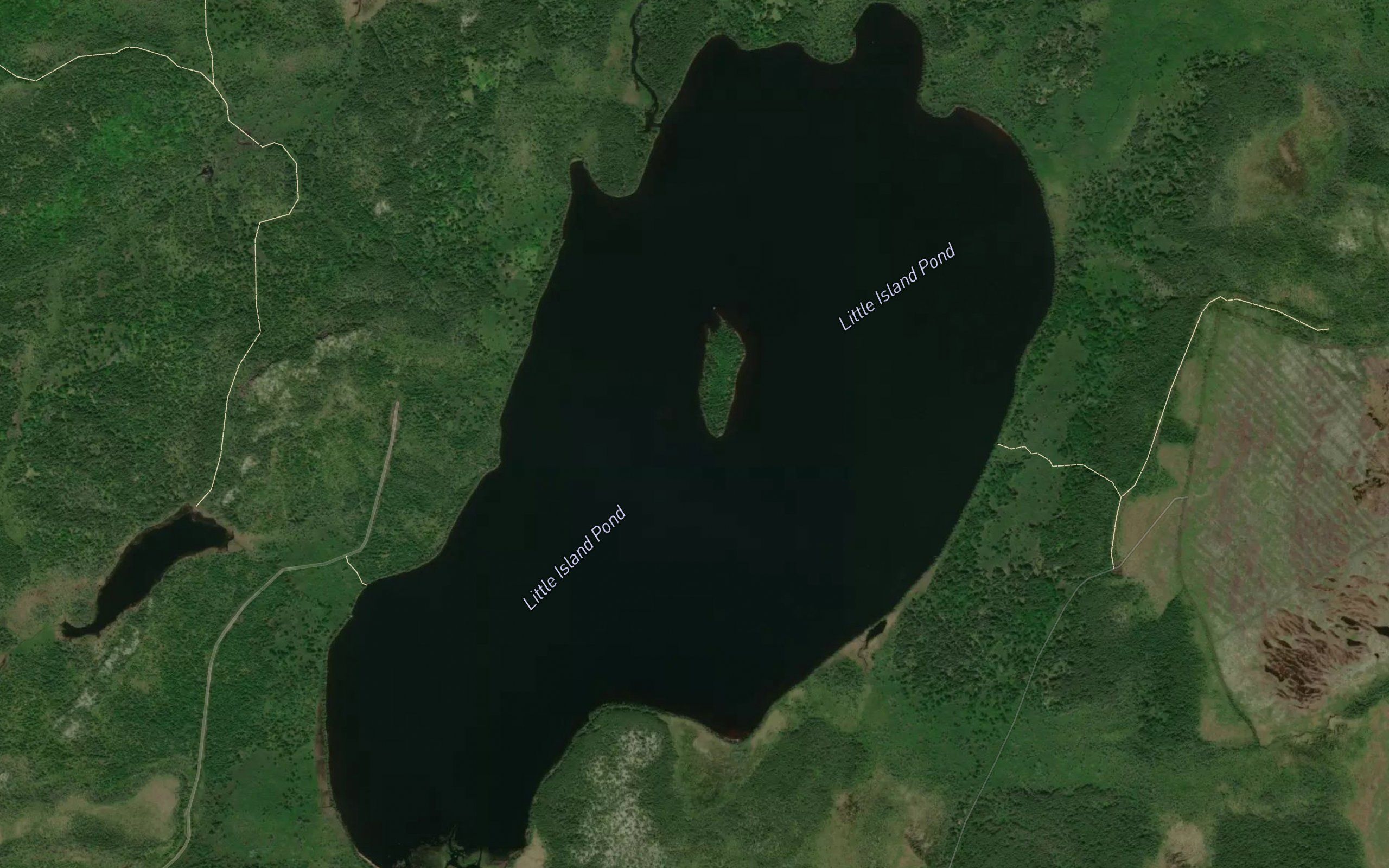 Island Pond