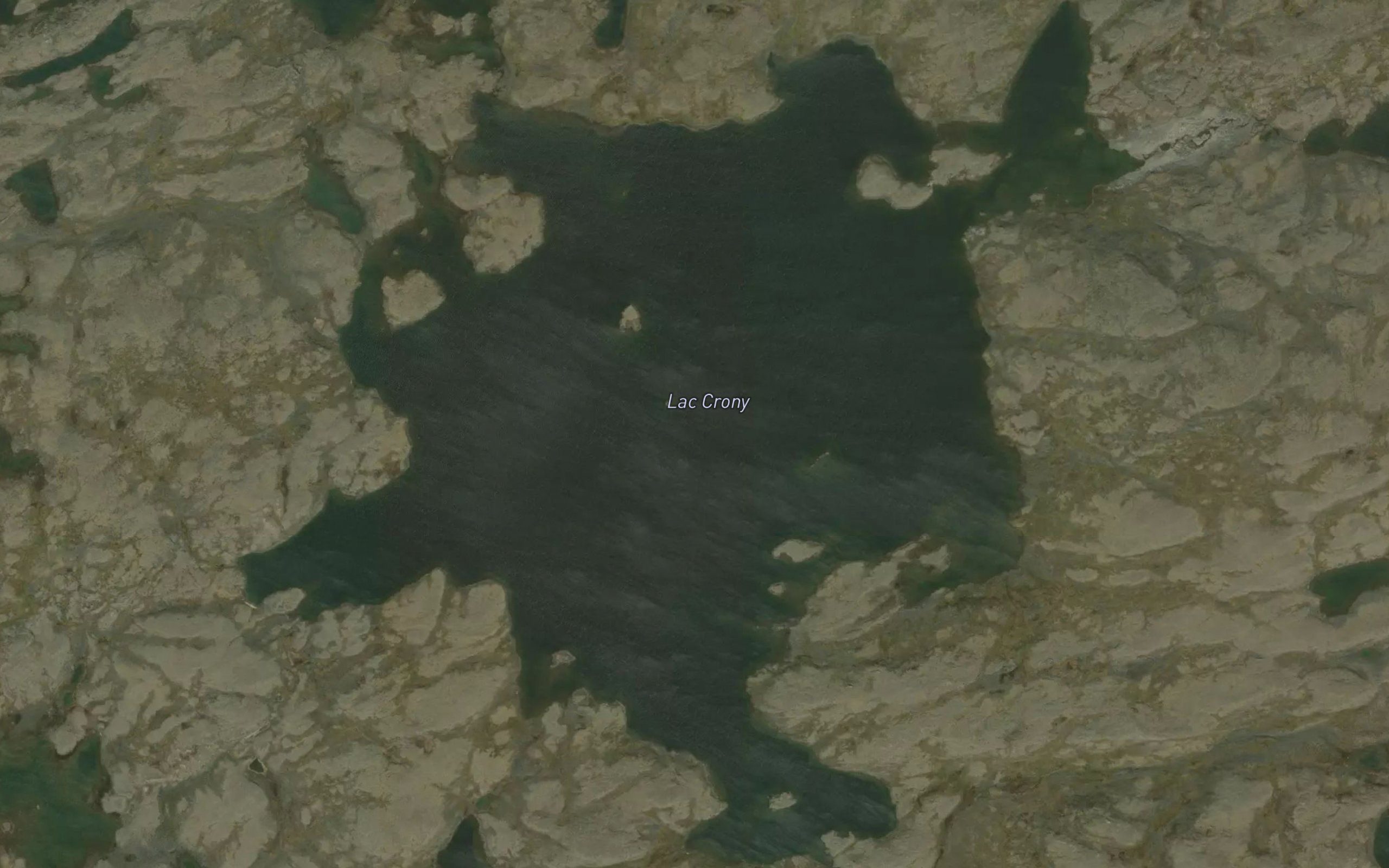 Lac Crony