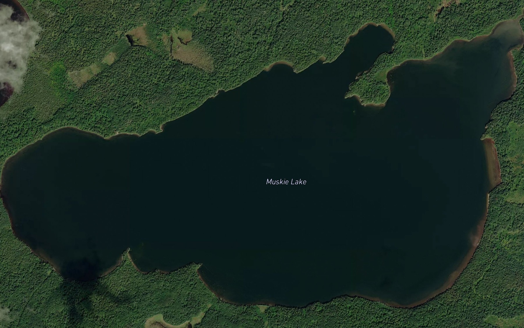 Satellite map of the Muskie Lake