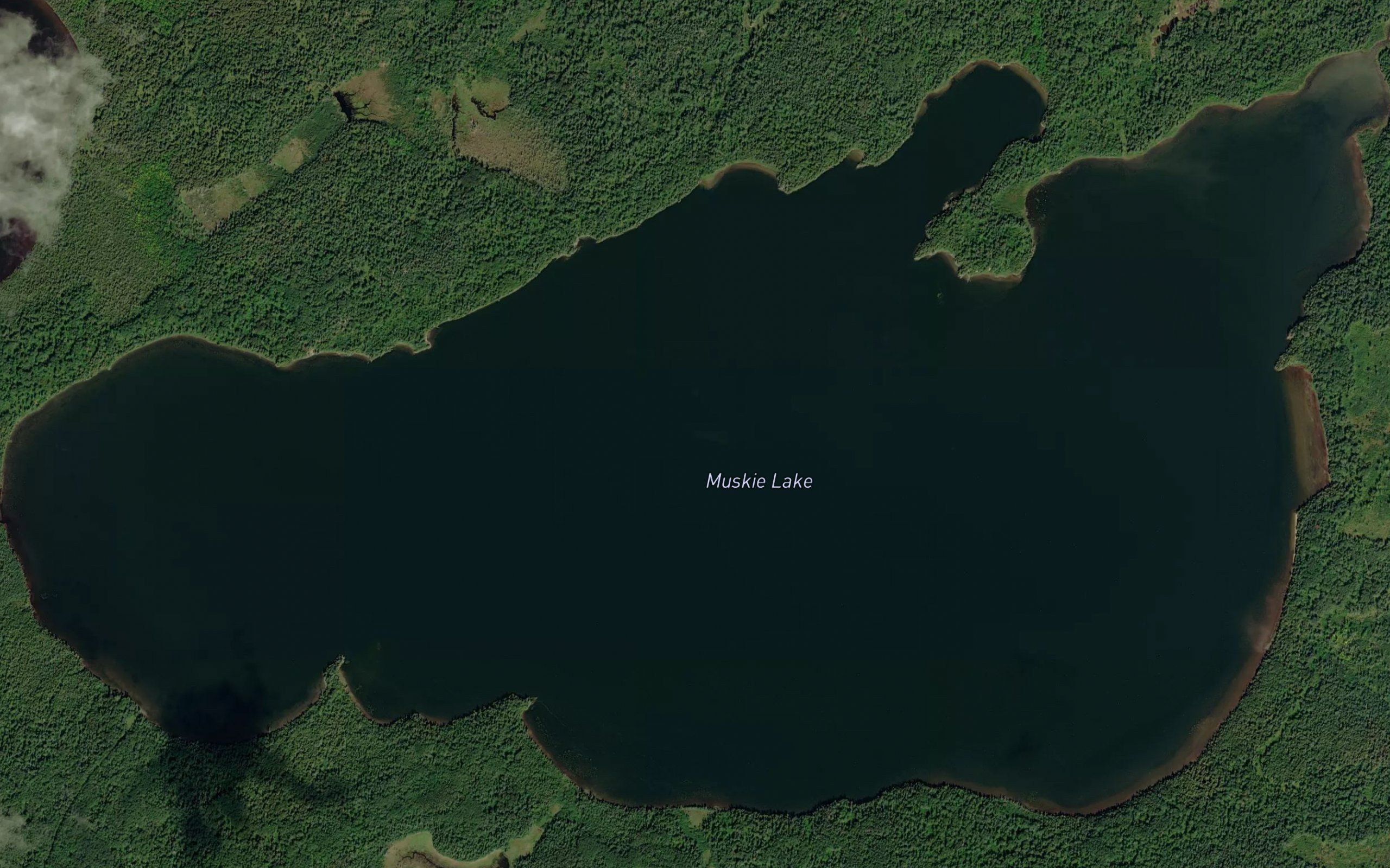 Muskie Lake