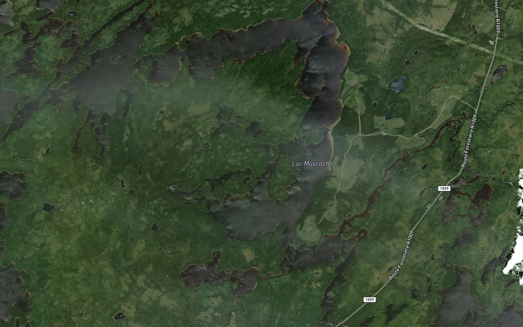 Satellite map of the Lac Muscocho