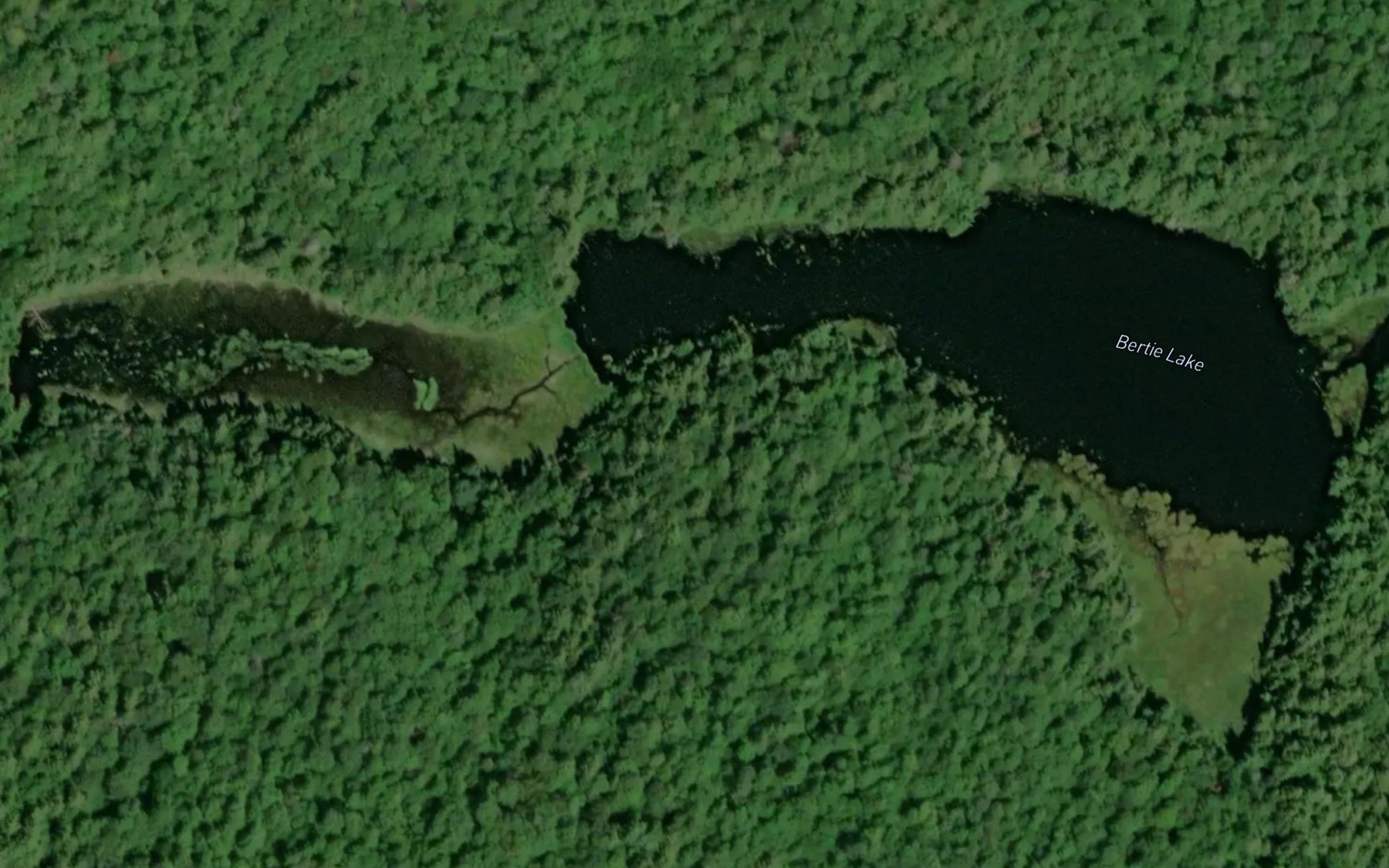 Satellite map of the Bertie Lake
