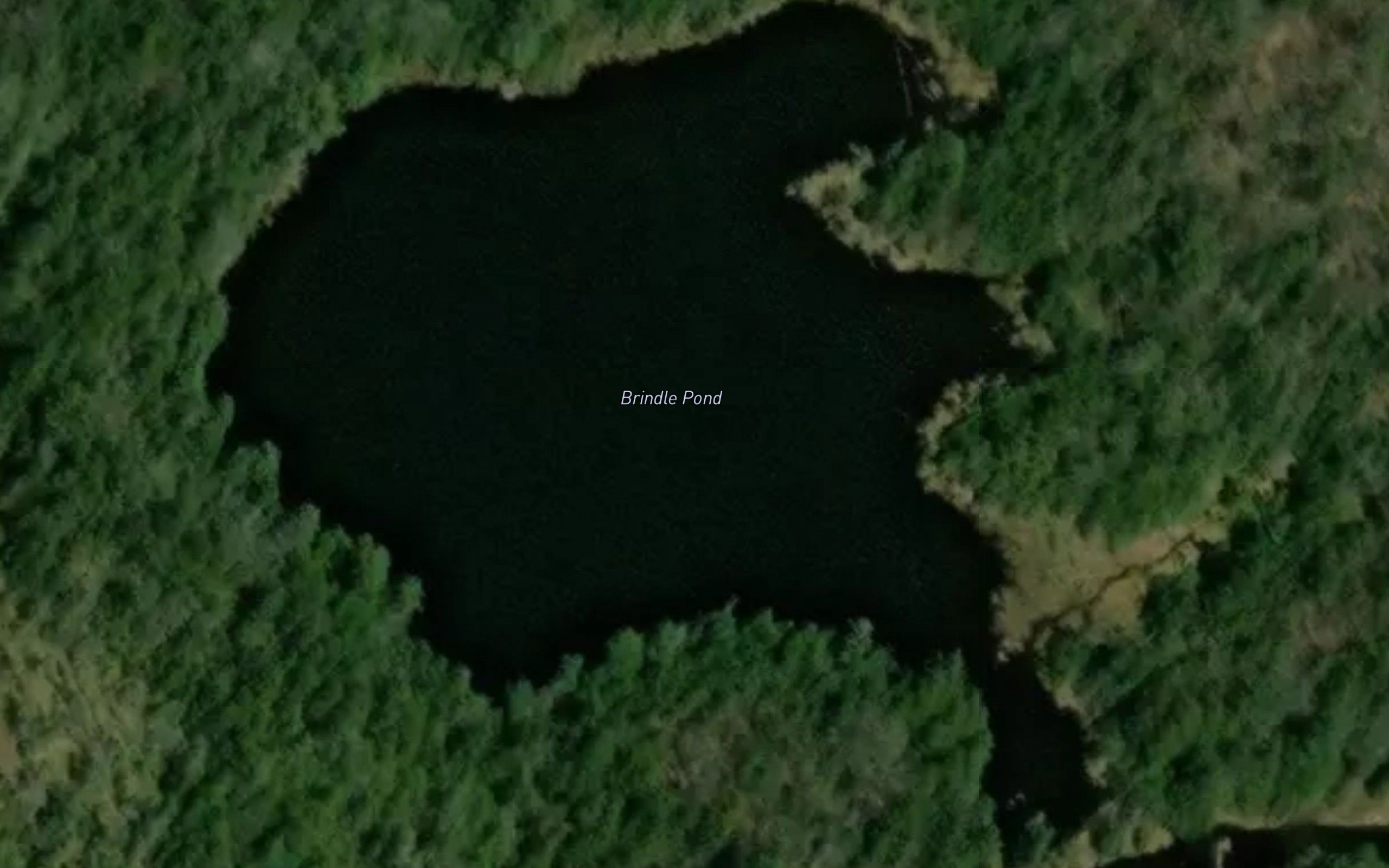 Brindle Pond