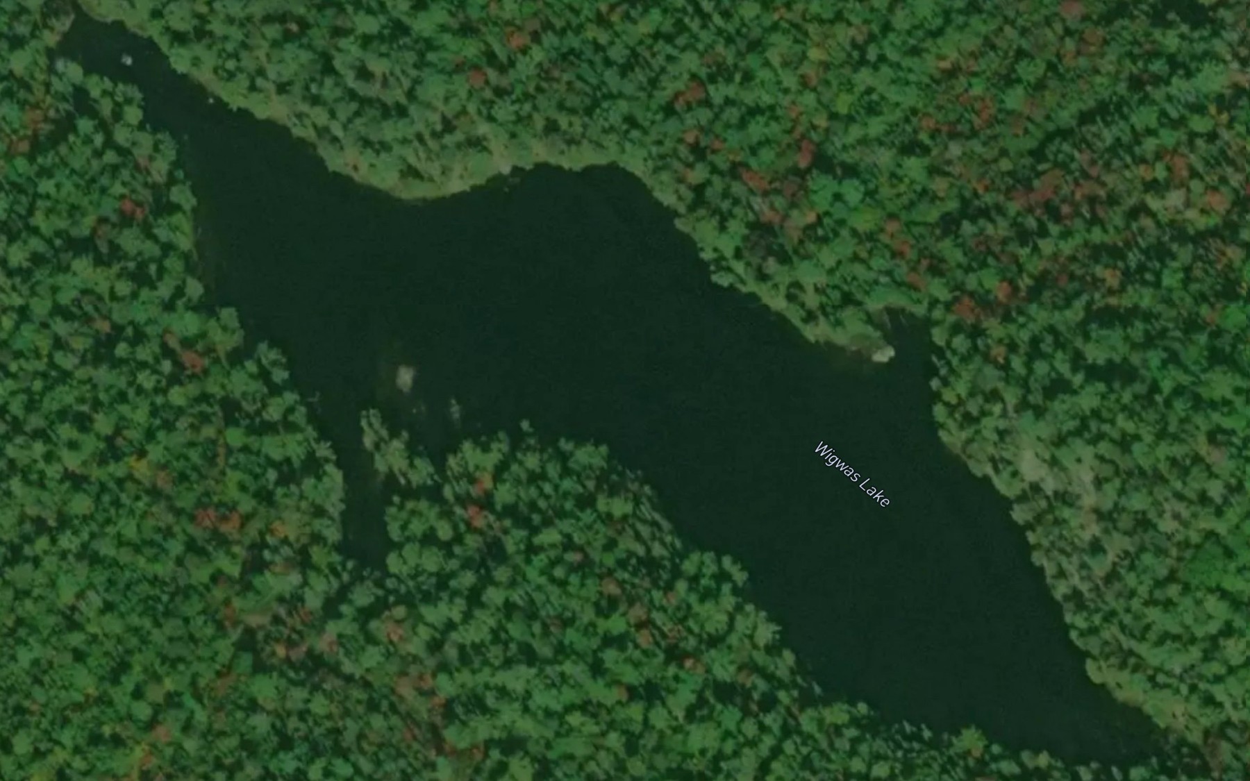 Satellite map of the Wigwas Lake