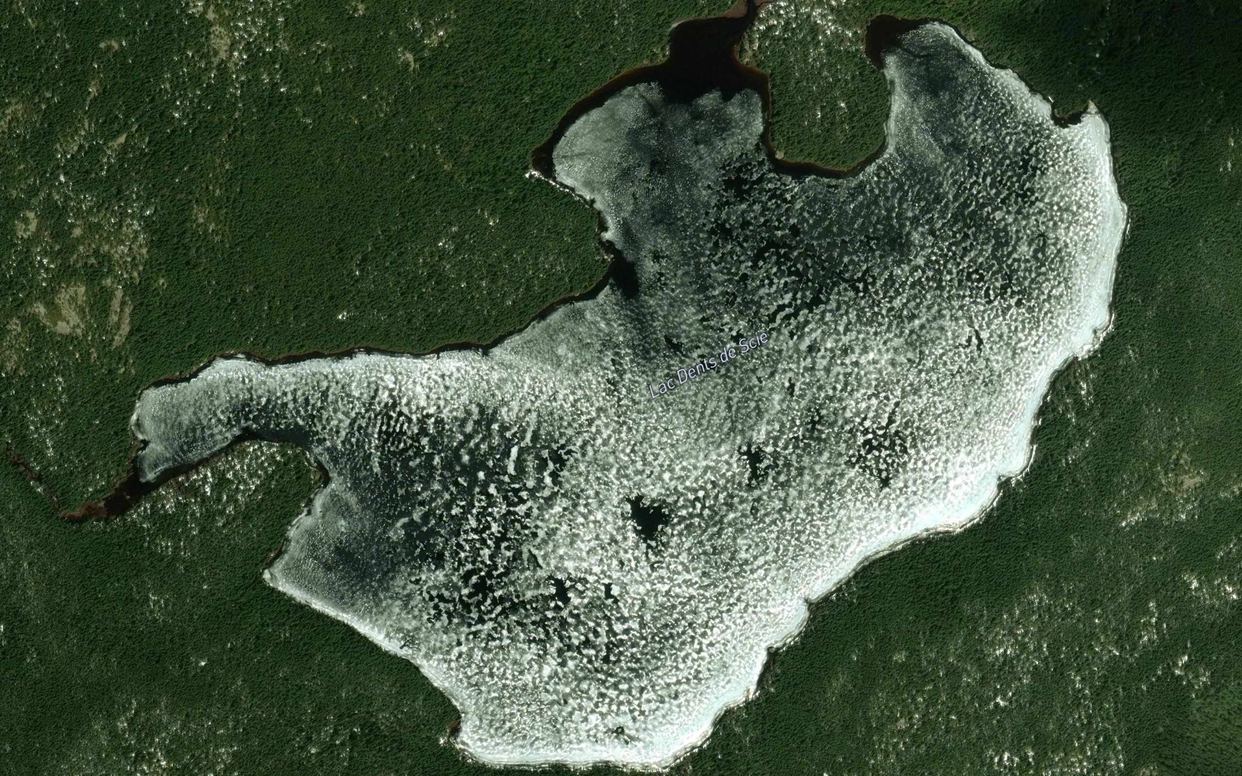 Lac des Ursides