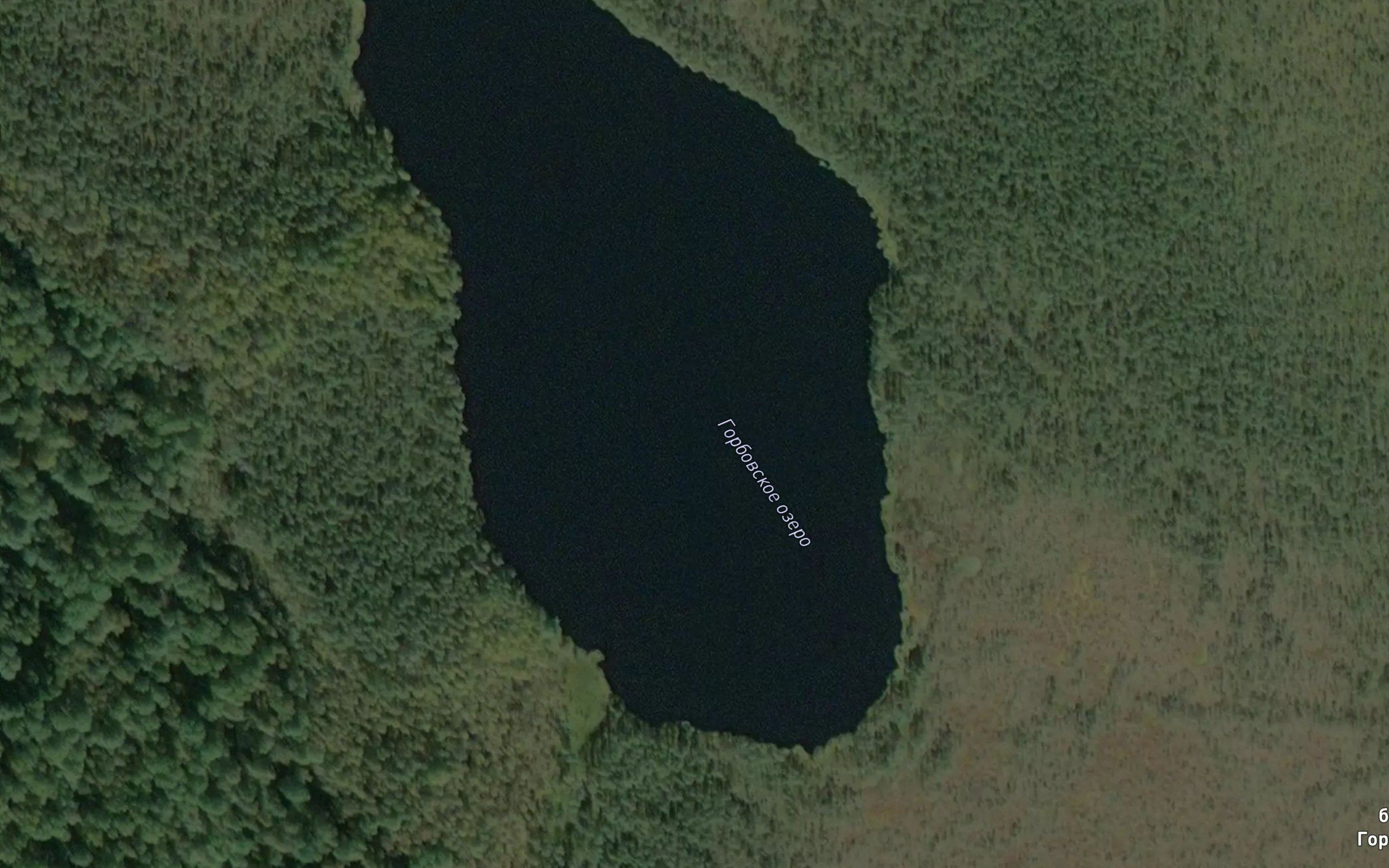 Ozero Gorbovskoye