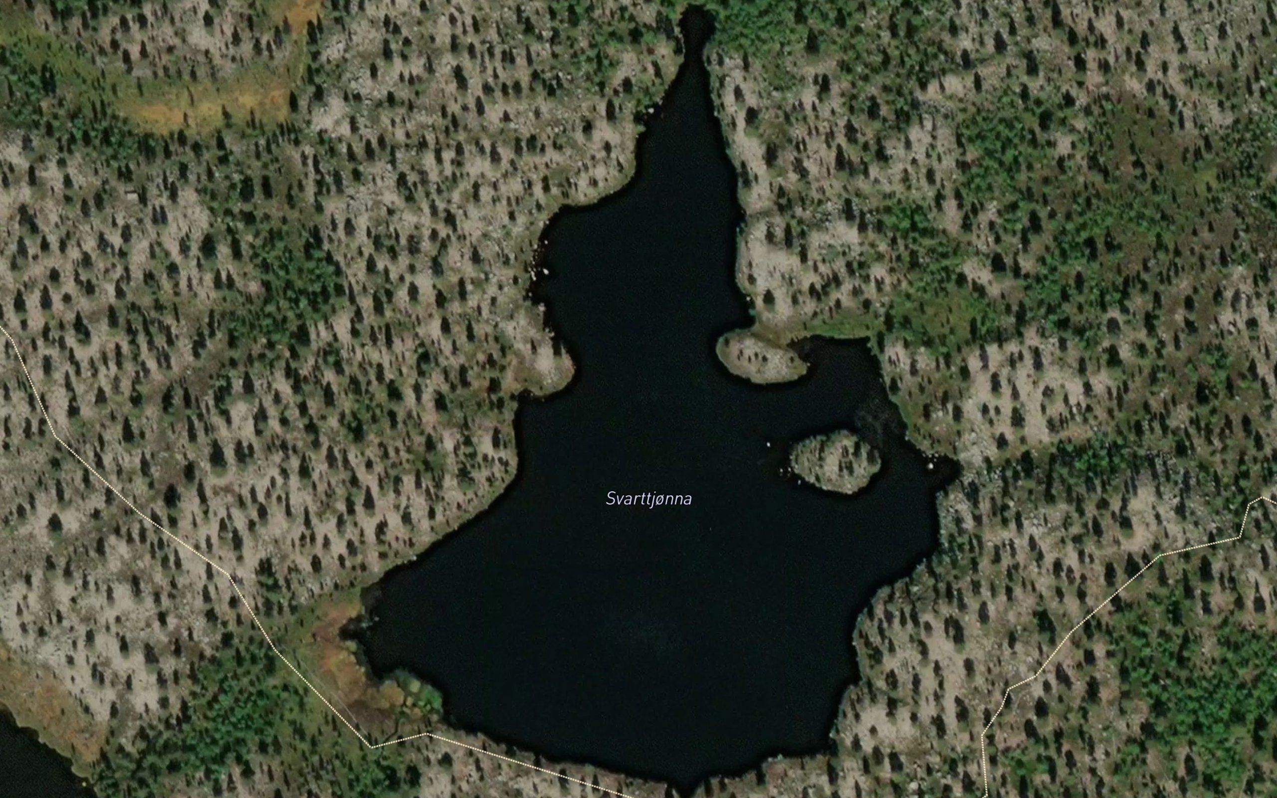 Svarttjonna