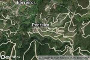 Ribeiro da Ribeira Velha