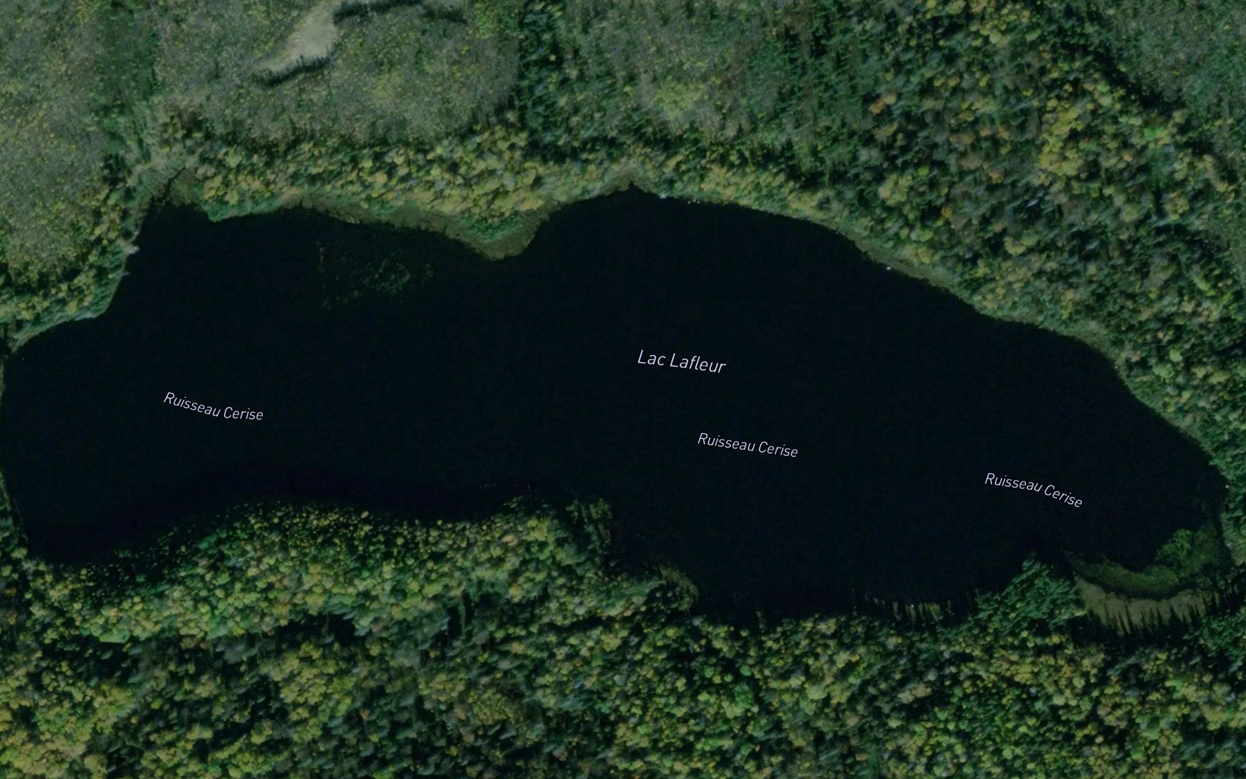 Lac Lafleur