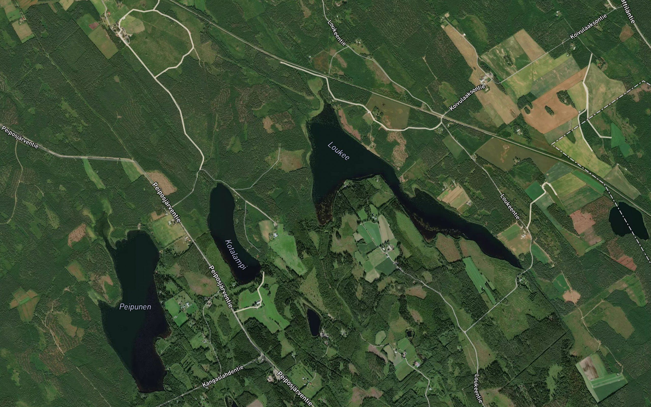 Kotilahti