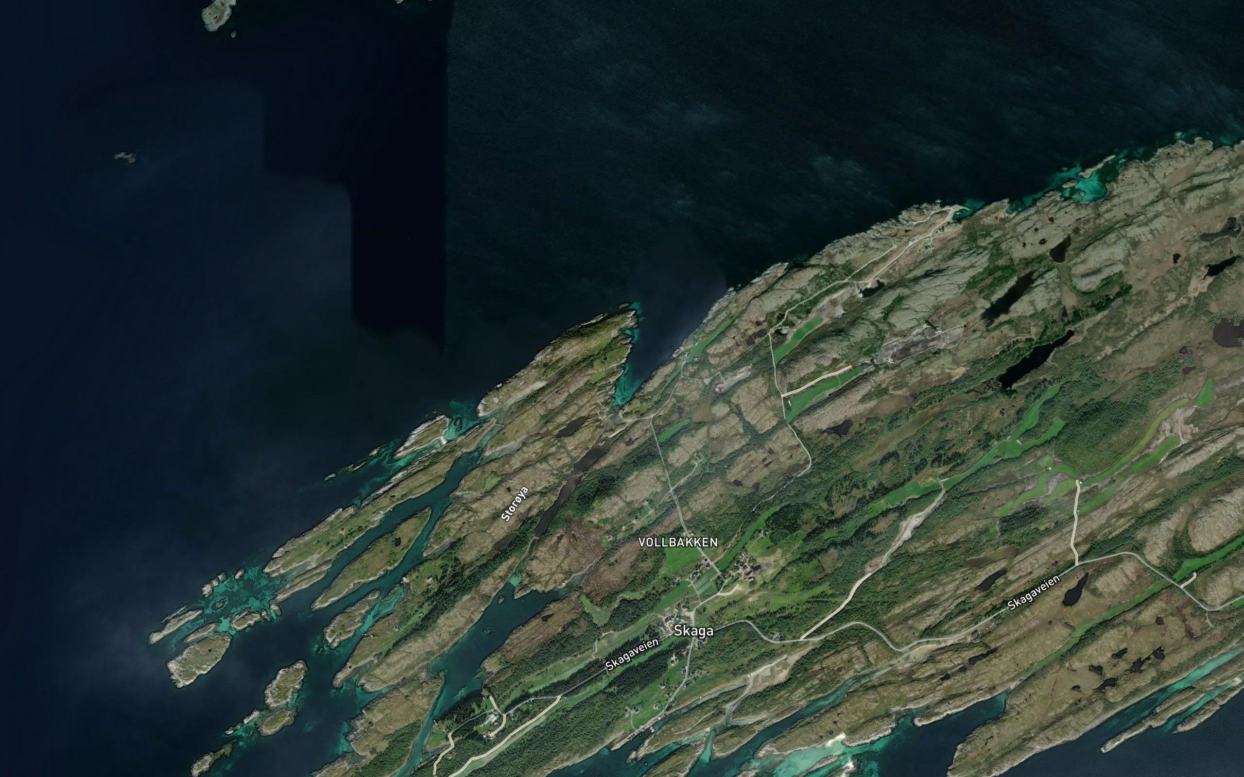 Skagavalen