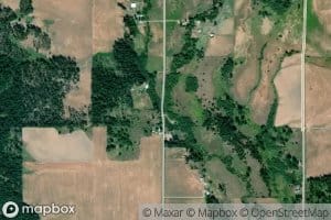 North Fork Skookum Creek
