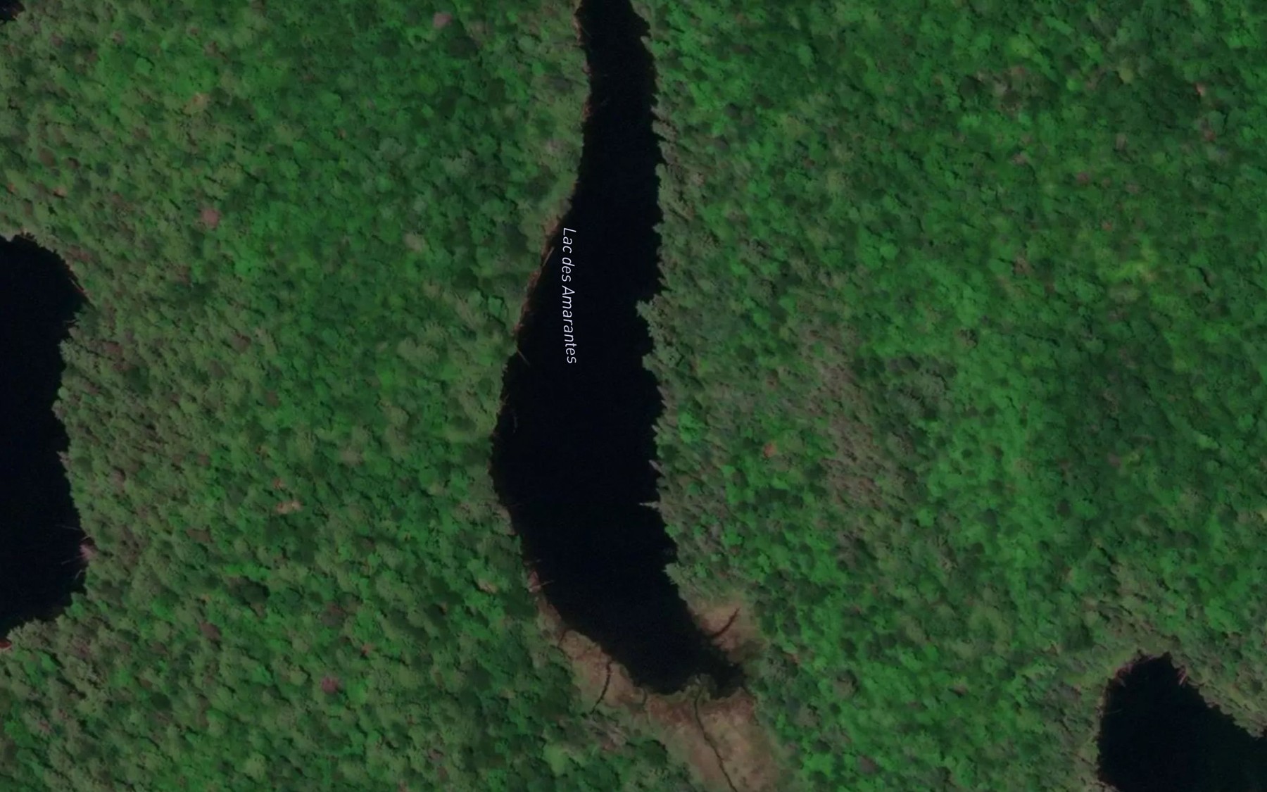 Satellite map of the Lac des Amarantes