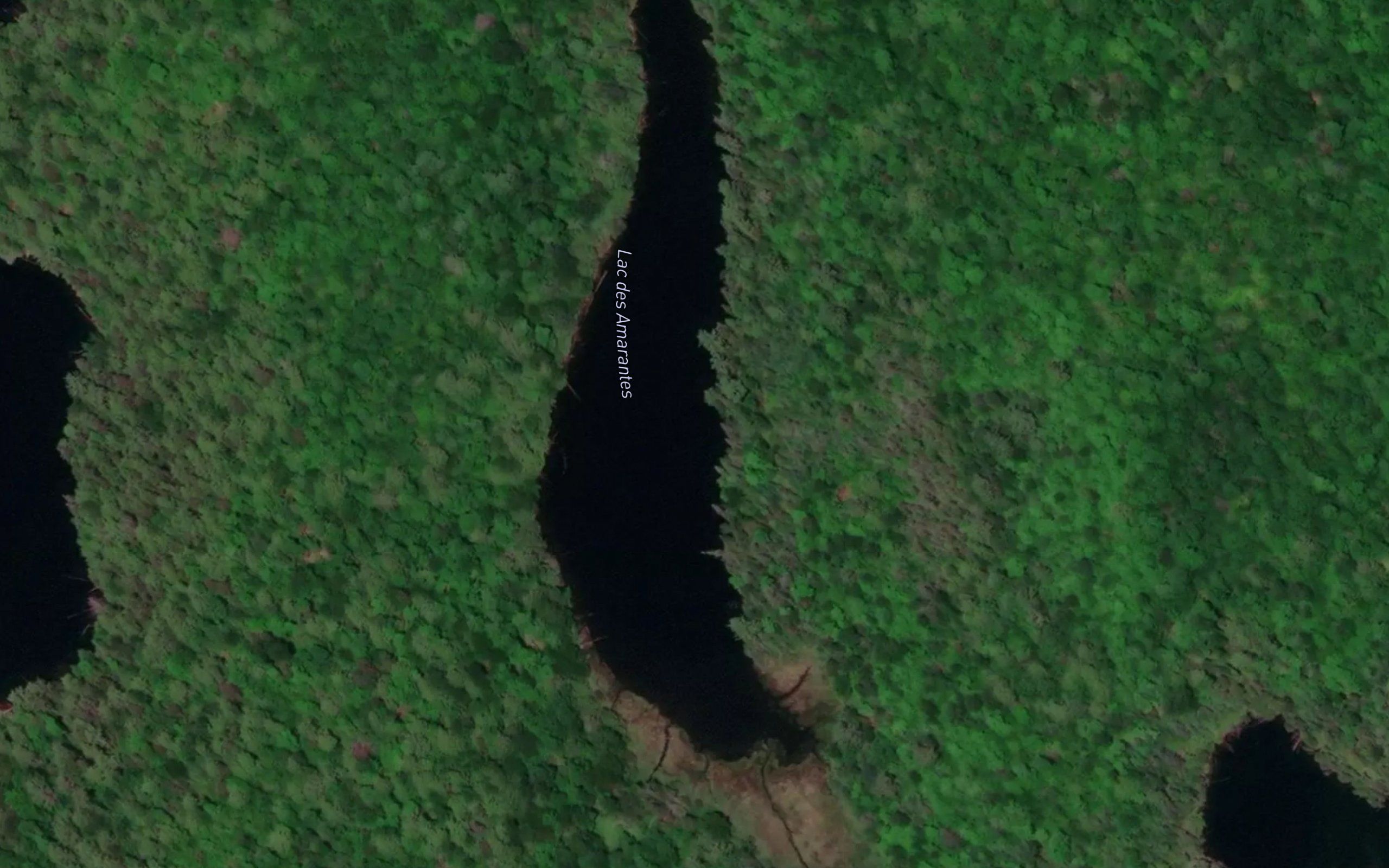 Lac des Amarantes