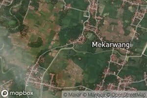 Ci Macan