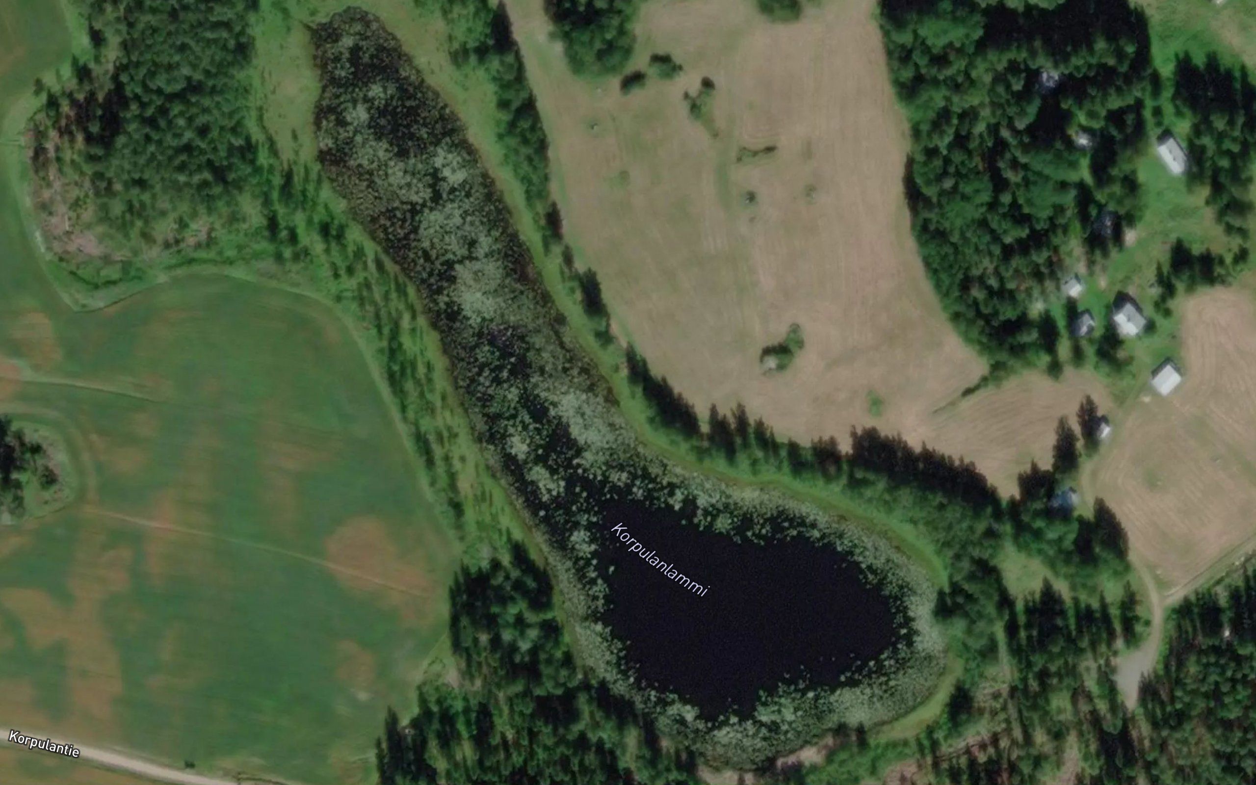 Korpulanlammi