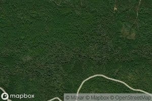 Indian Turner Branch