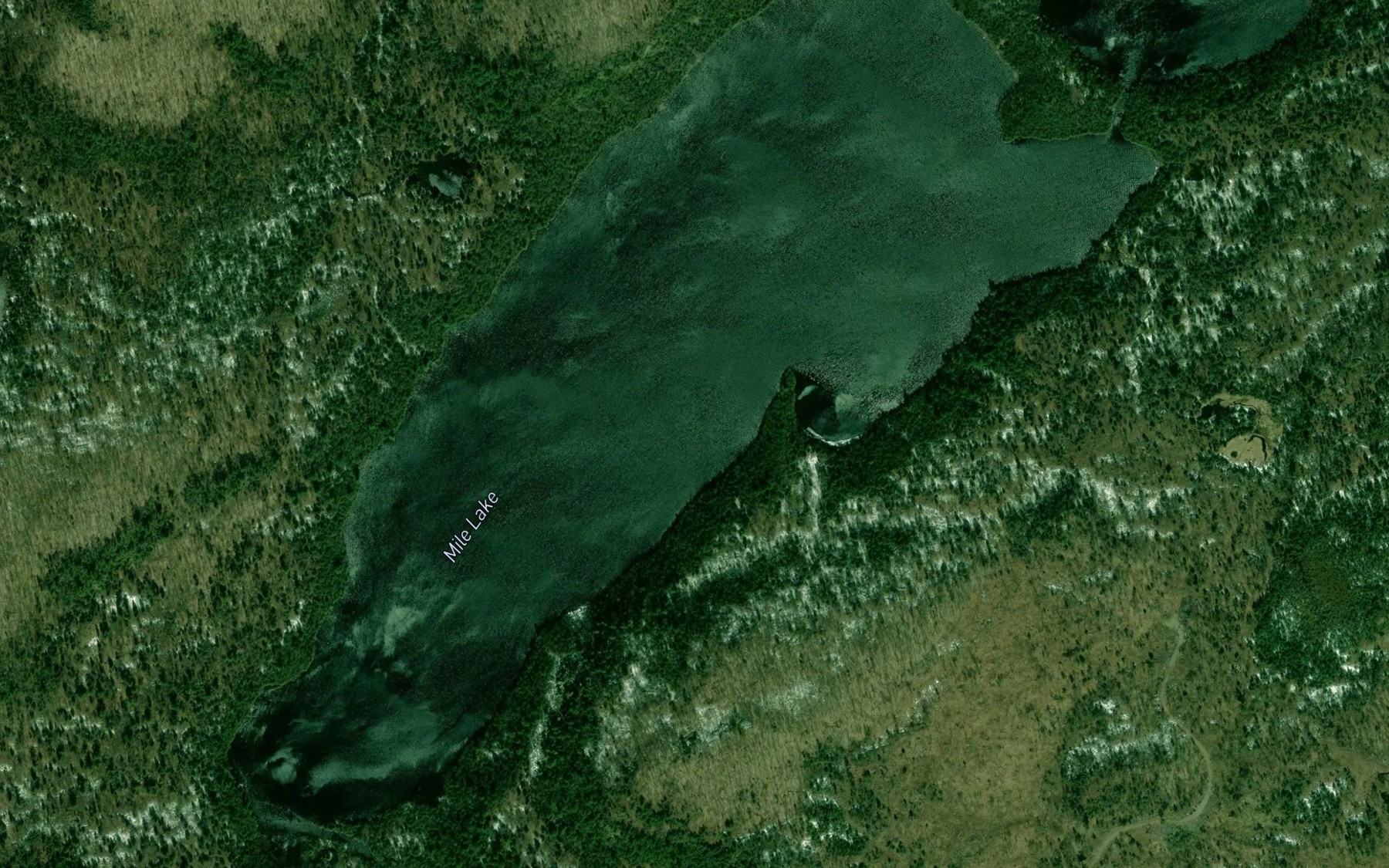 Satellite map of the Mile Lake