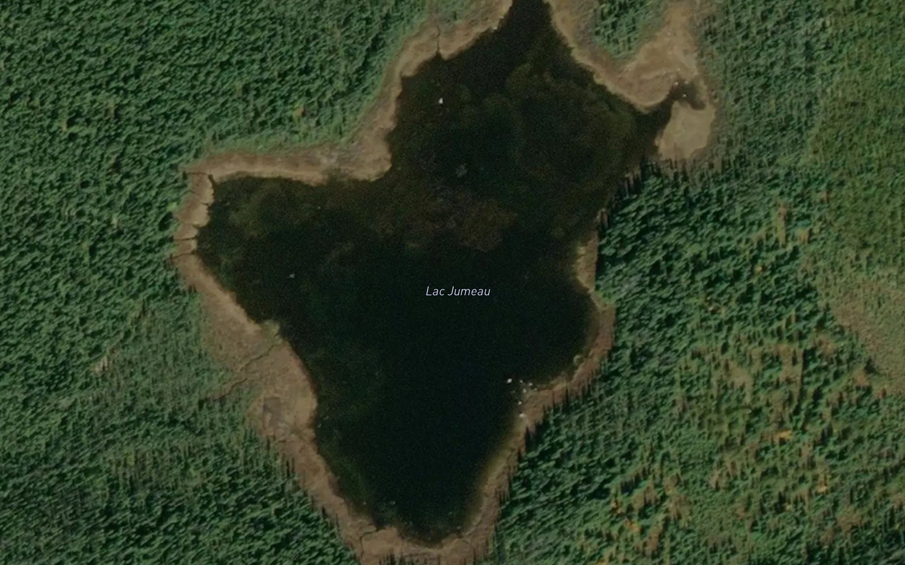 Satellite map of the Lac Jumeau