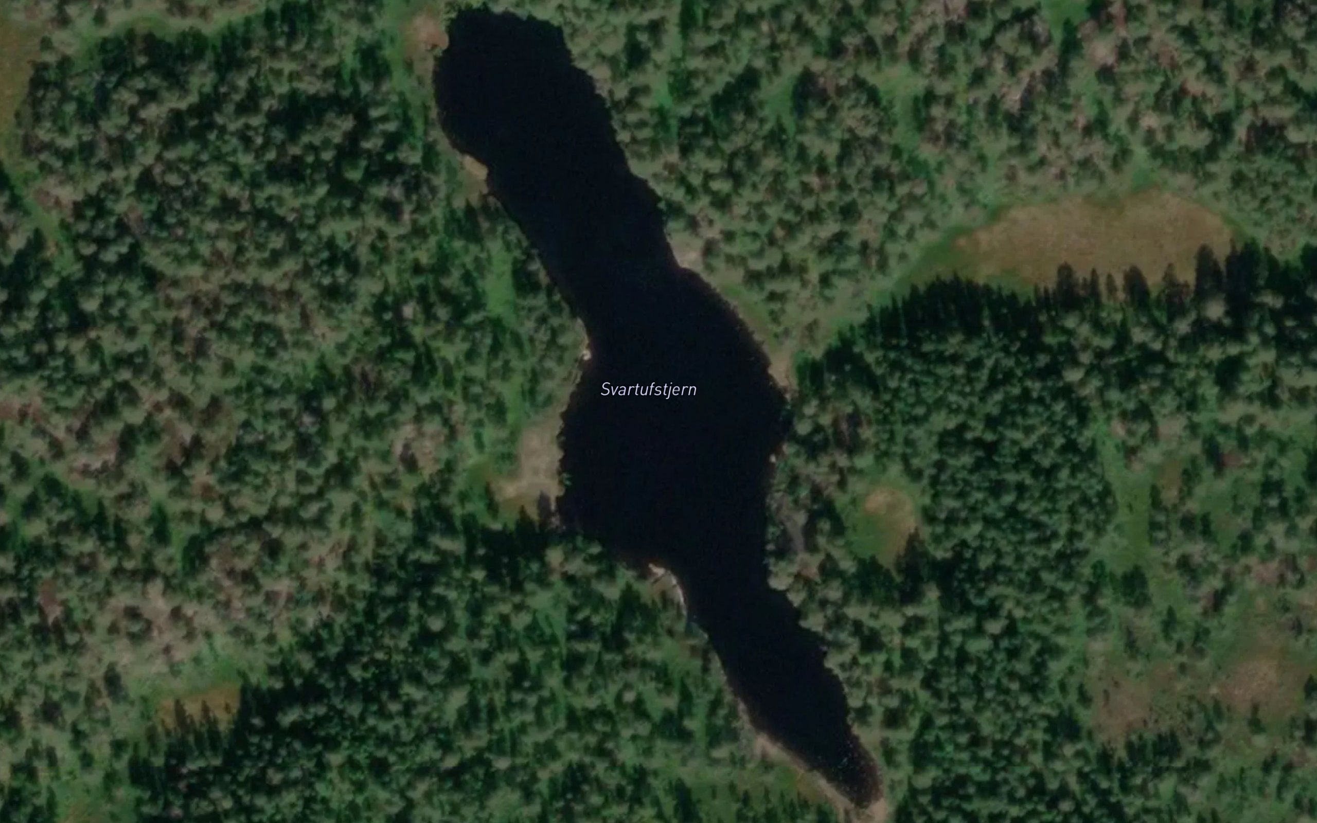 Svartupstjorn
