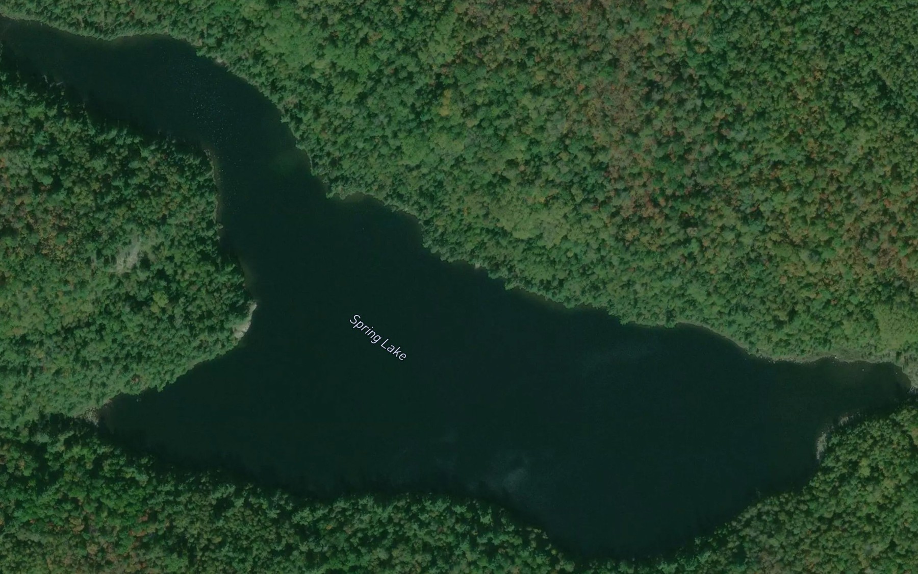 Satellite map of the Spring Lake