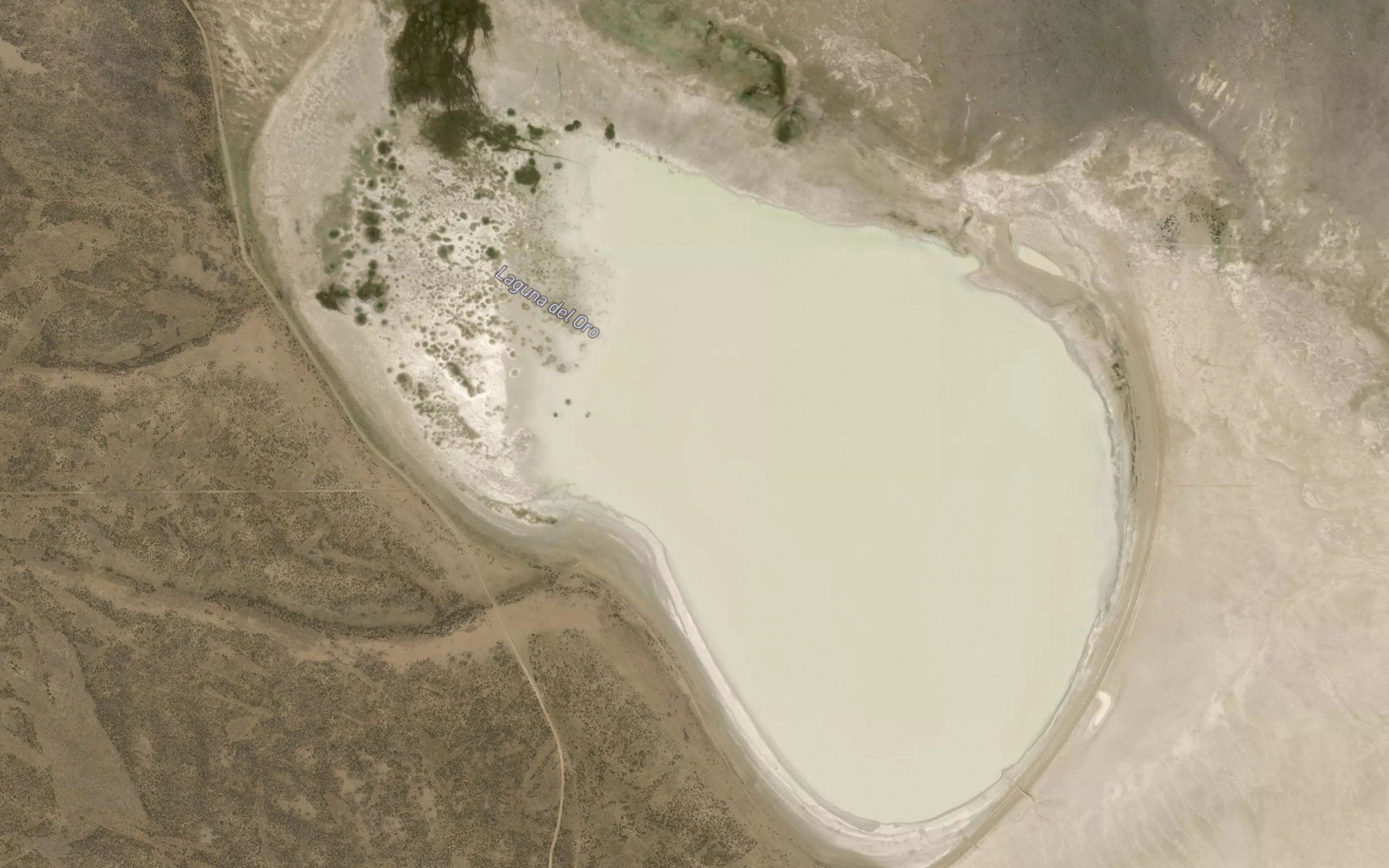 Laguna del Oro