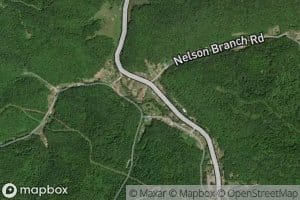 Nelson Branch