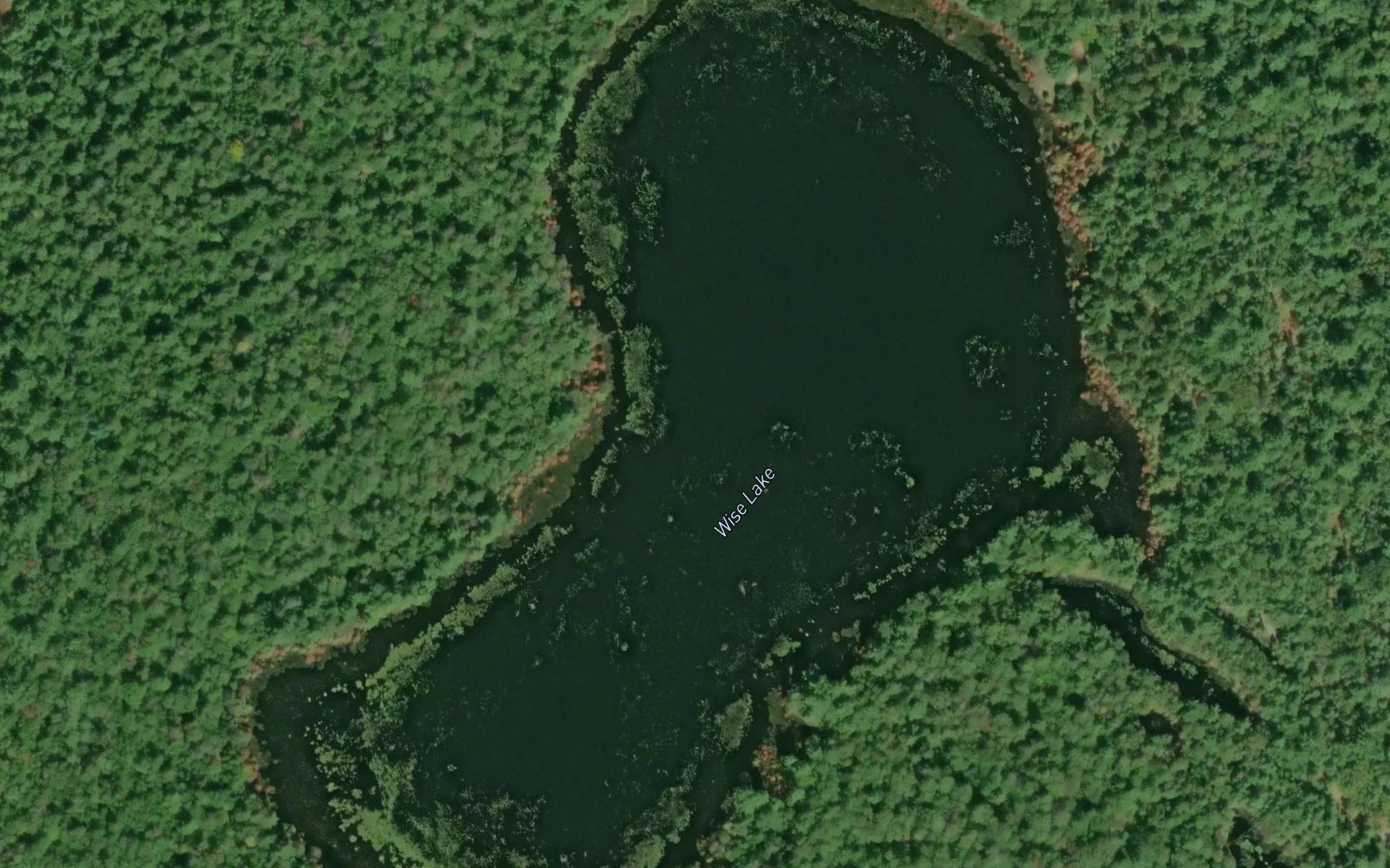 Satellite map of the Wise Lake