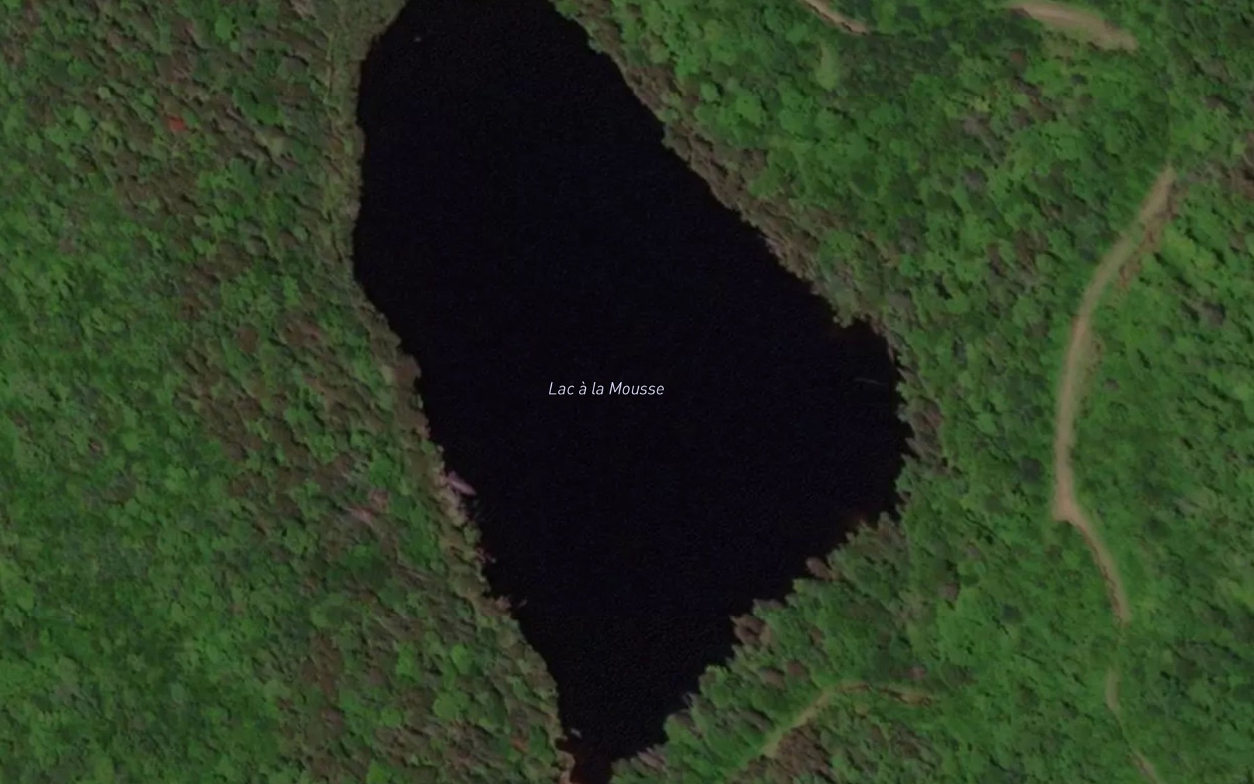 Satellite map of the Lac a la Mousse