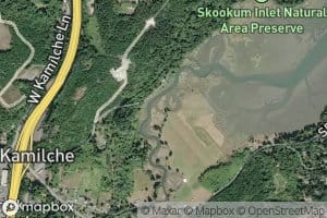 Skookum Creek