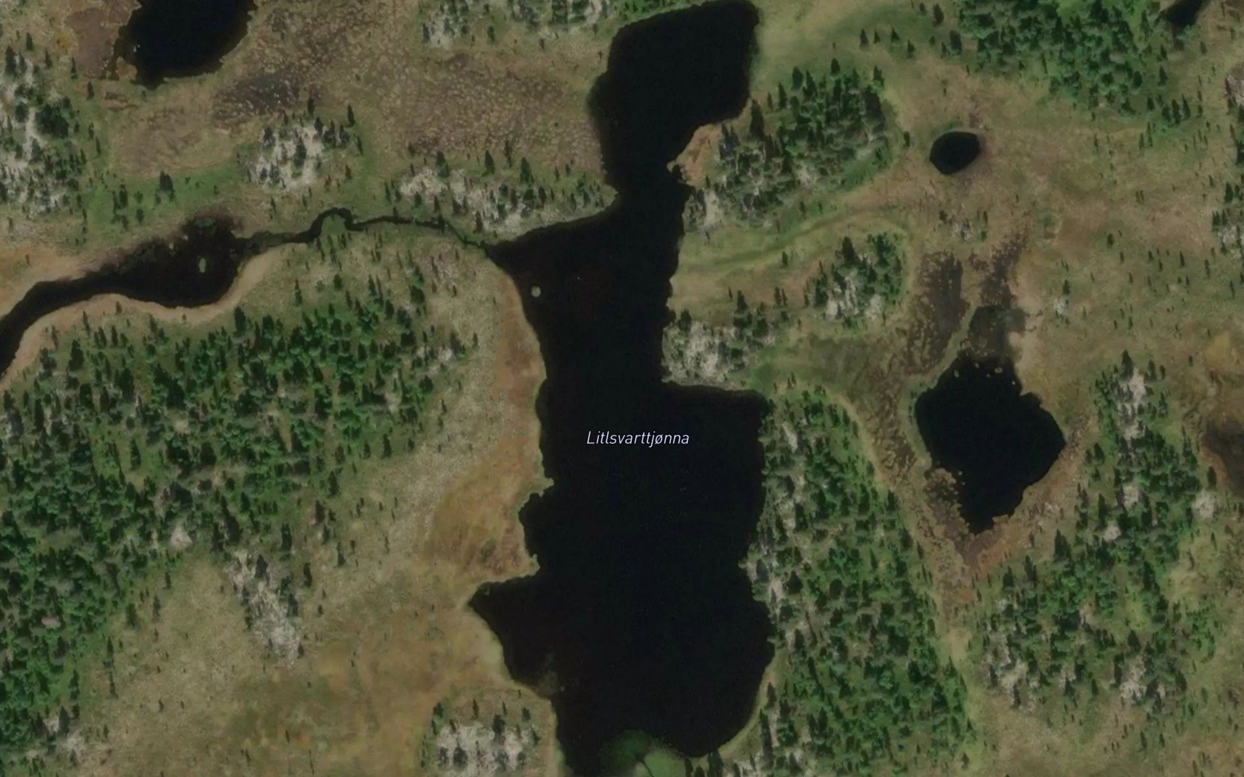 Litlsvarttjonna