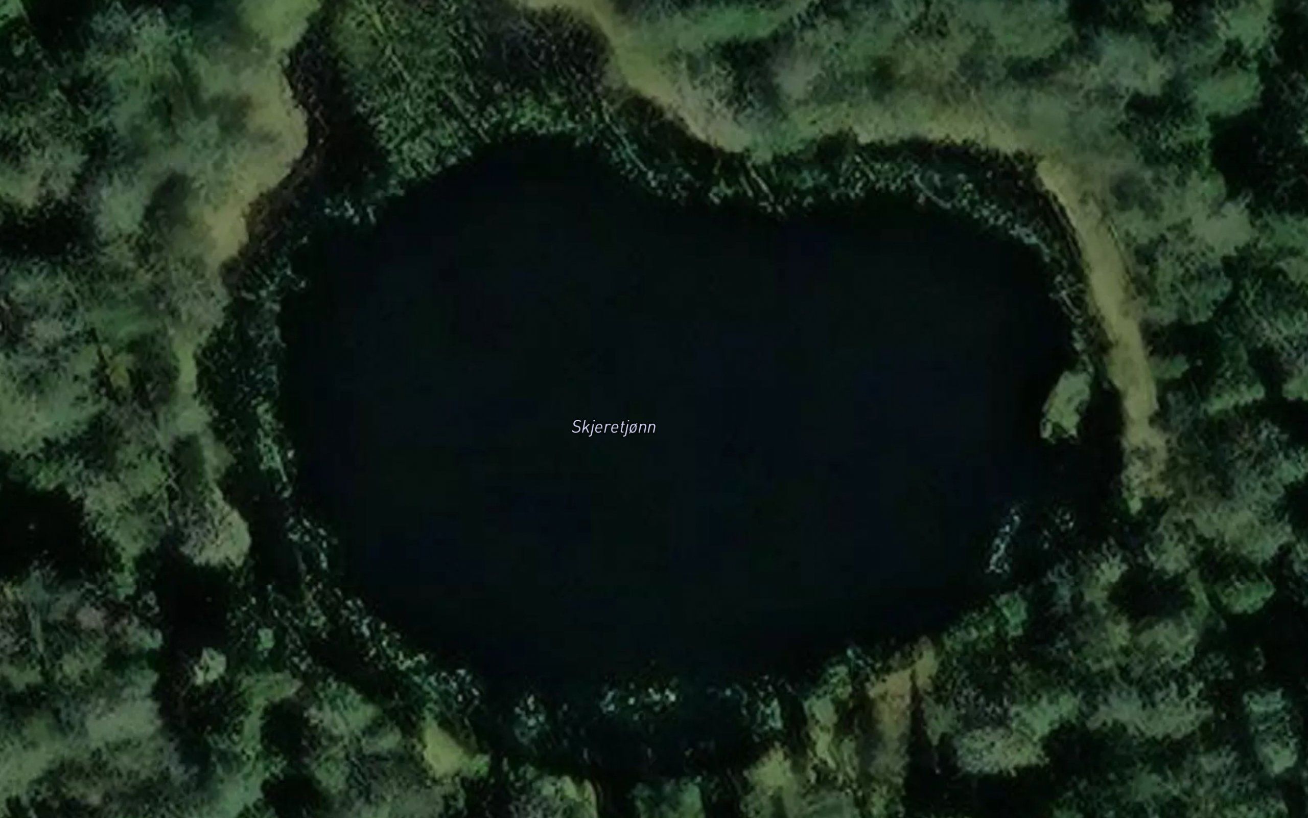 Skjeretjonn