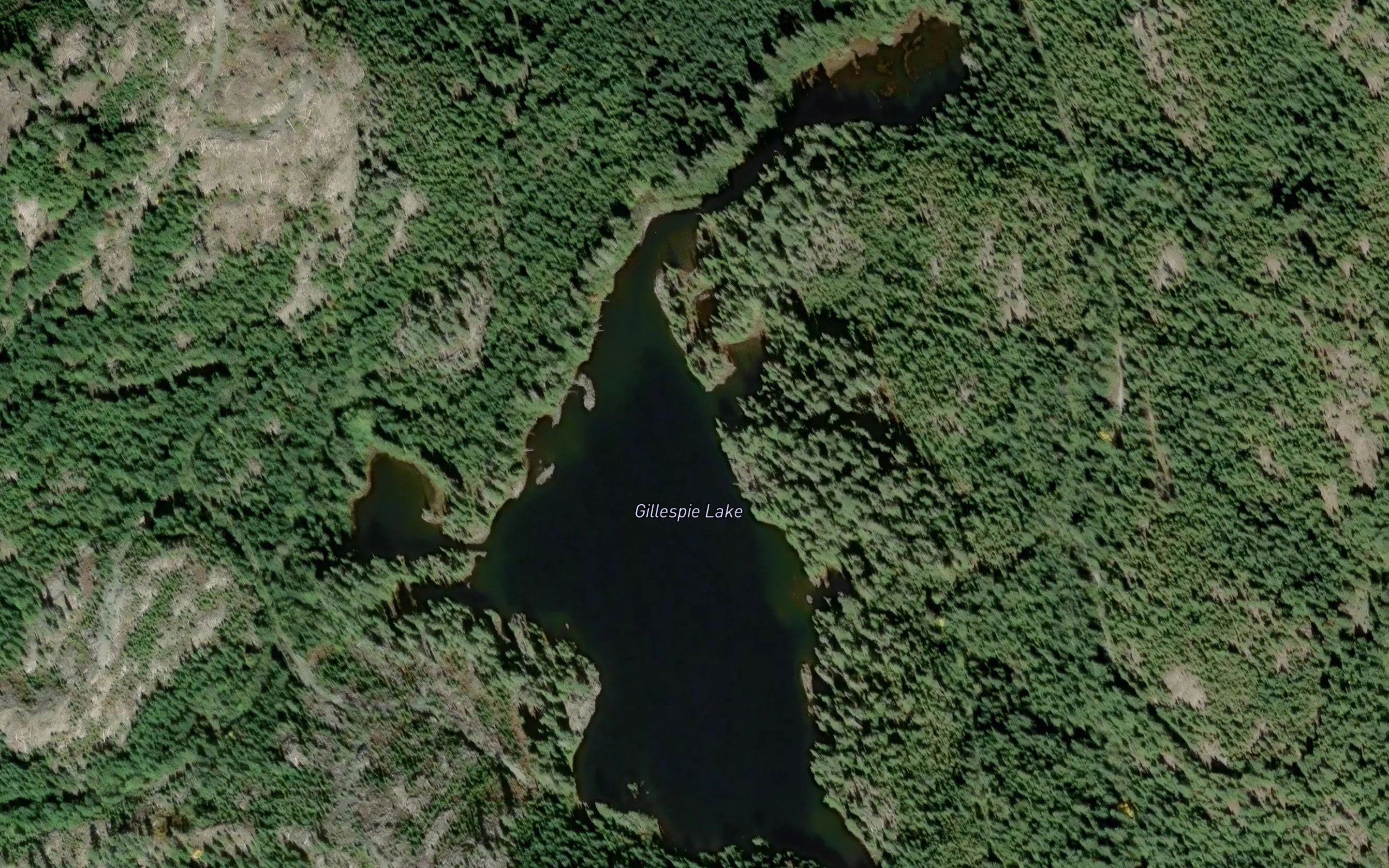 Gillespie Lake