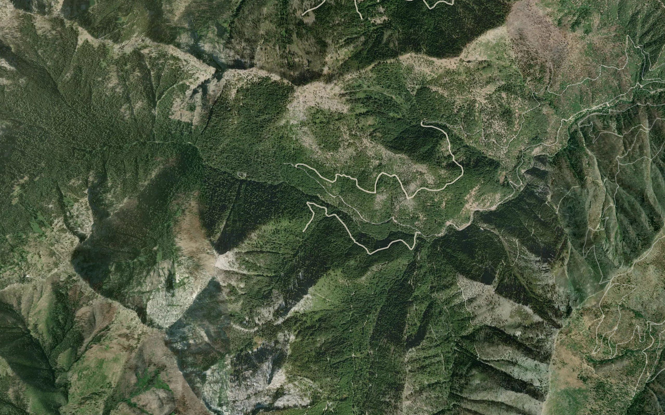 Shelly Fork