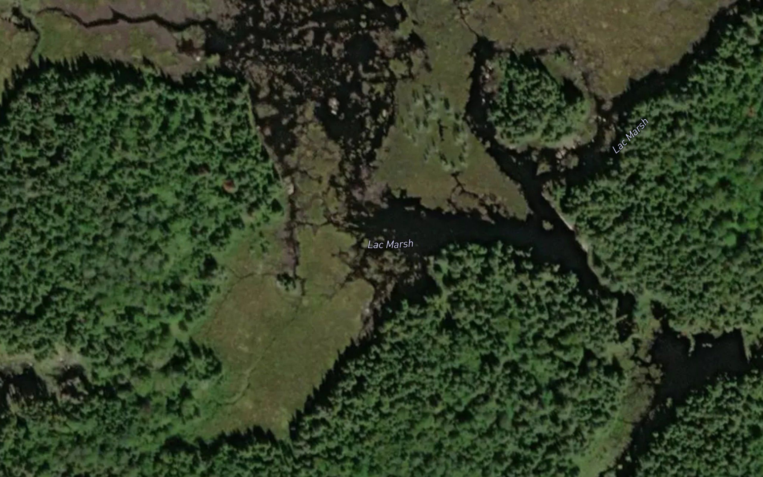 Lac Marsh