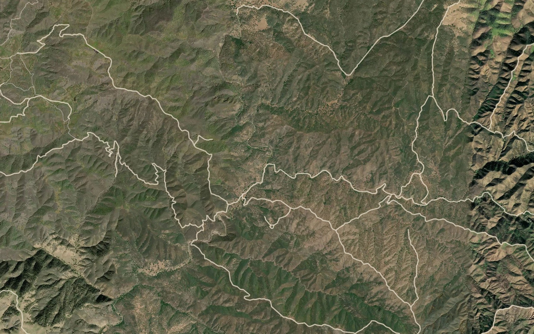 Satellite map of the Branch Creek